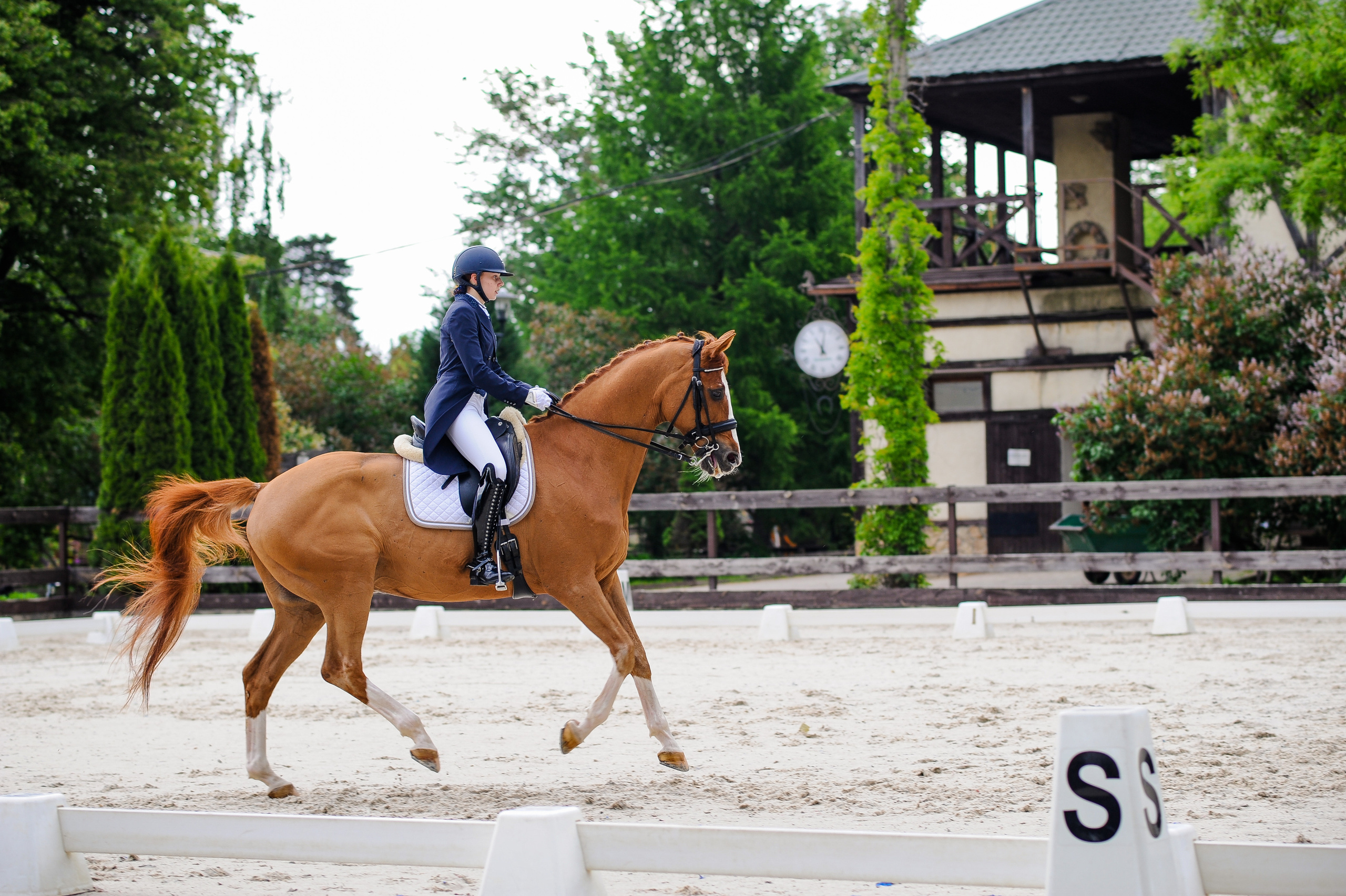Выездка Репортаж 05.28.2023. Фотограф, визажист. Москва