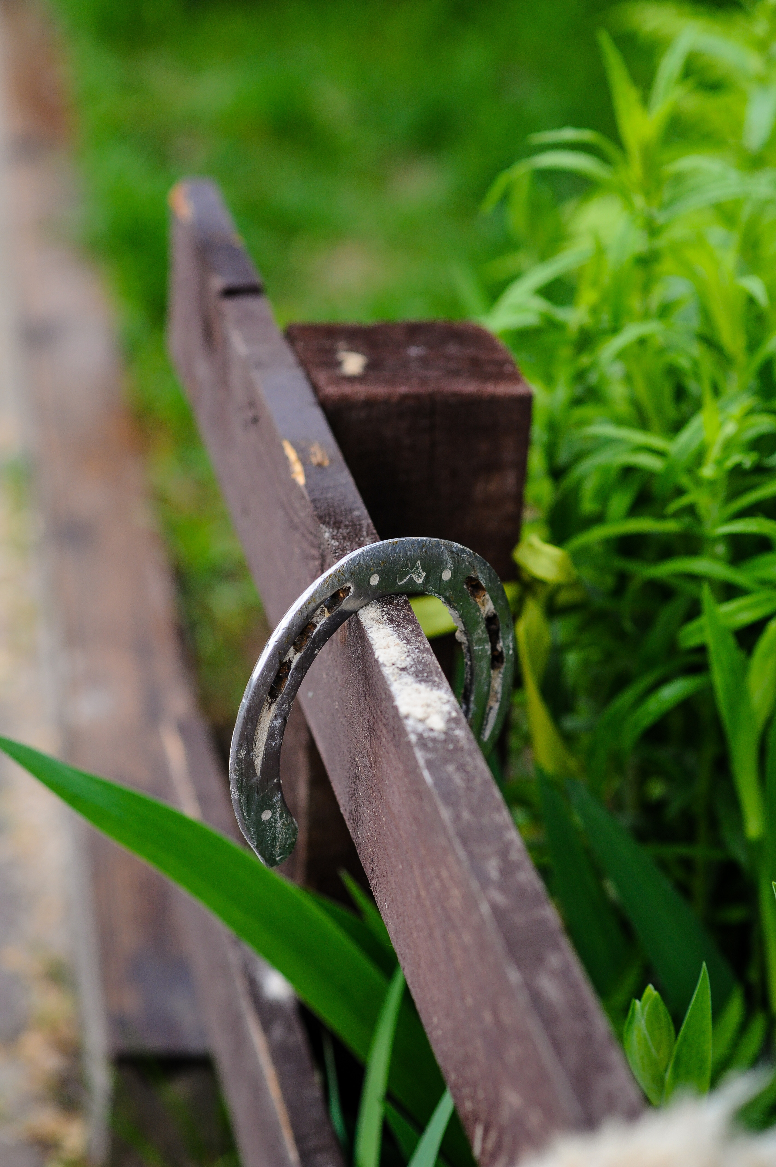 Выездка Репортаж 05.28.2023. Фотограф, визажист. Москва