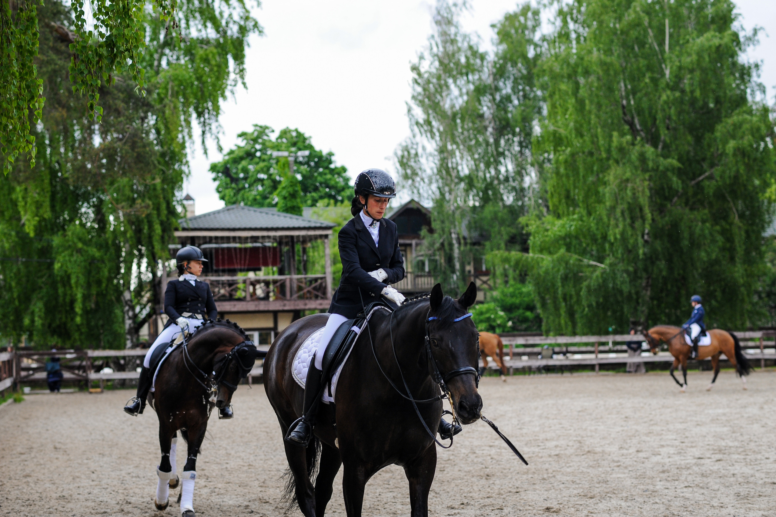 Выездка Репортаж 05.28.2023. Фотограф, визажист. Москва