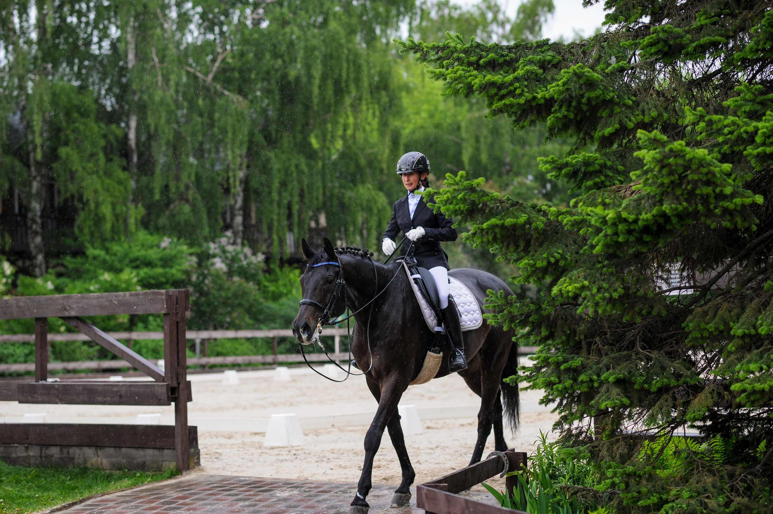 Выездка Репортаж 05.28.2023. Фотограф, визажист. Москва