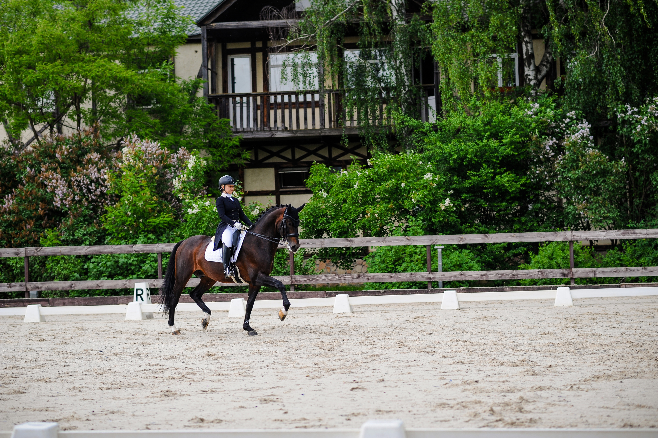 Выездка Репортаж 05.28.2023. Фотограф, визажист. Москва