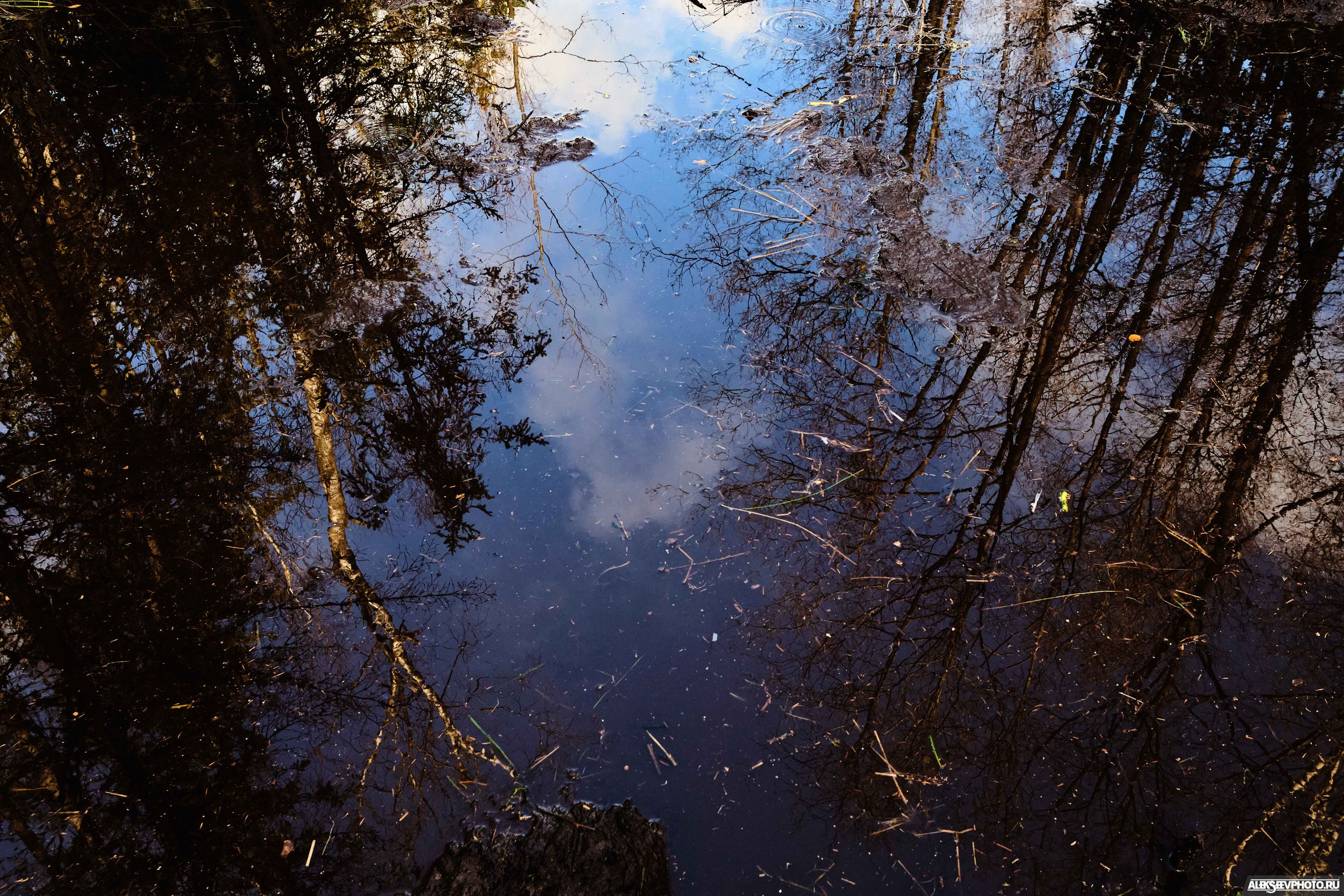 2021.10.17 — Финал чемпионата СЗФО по трофи-рейдам — 2 день. Фотограф Алексей Алексеев