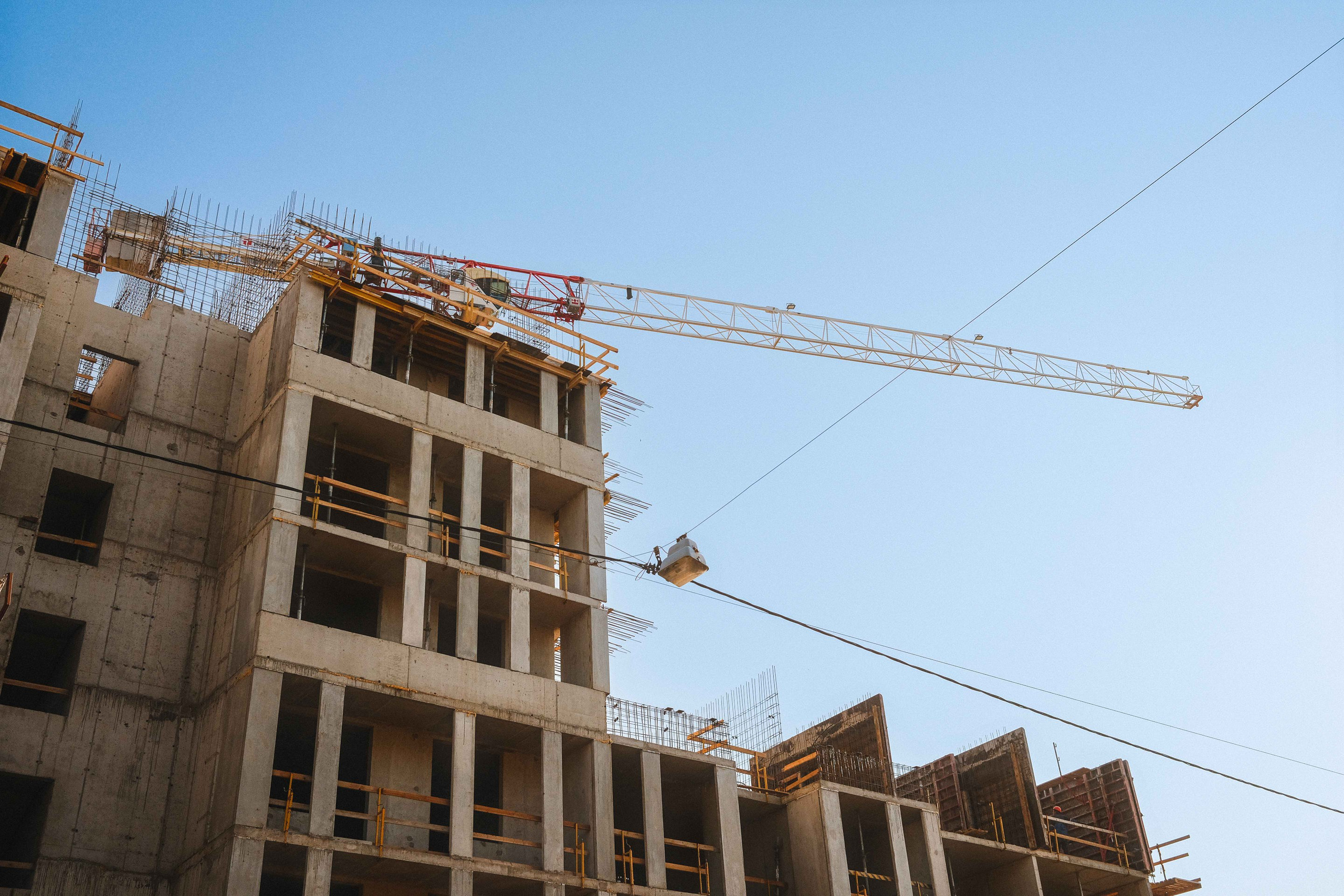 2022.08. Фотограф Алексей Алексеев