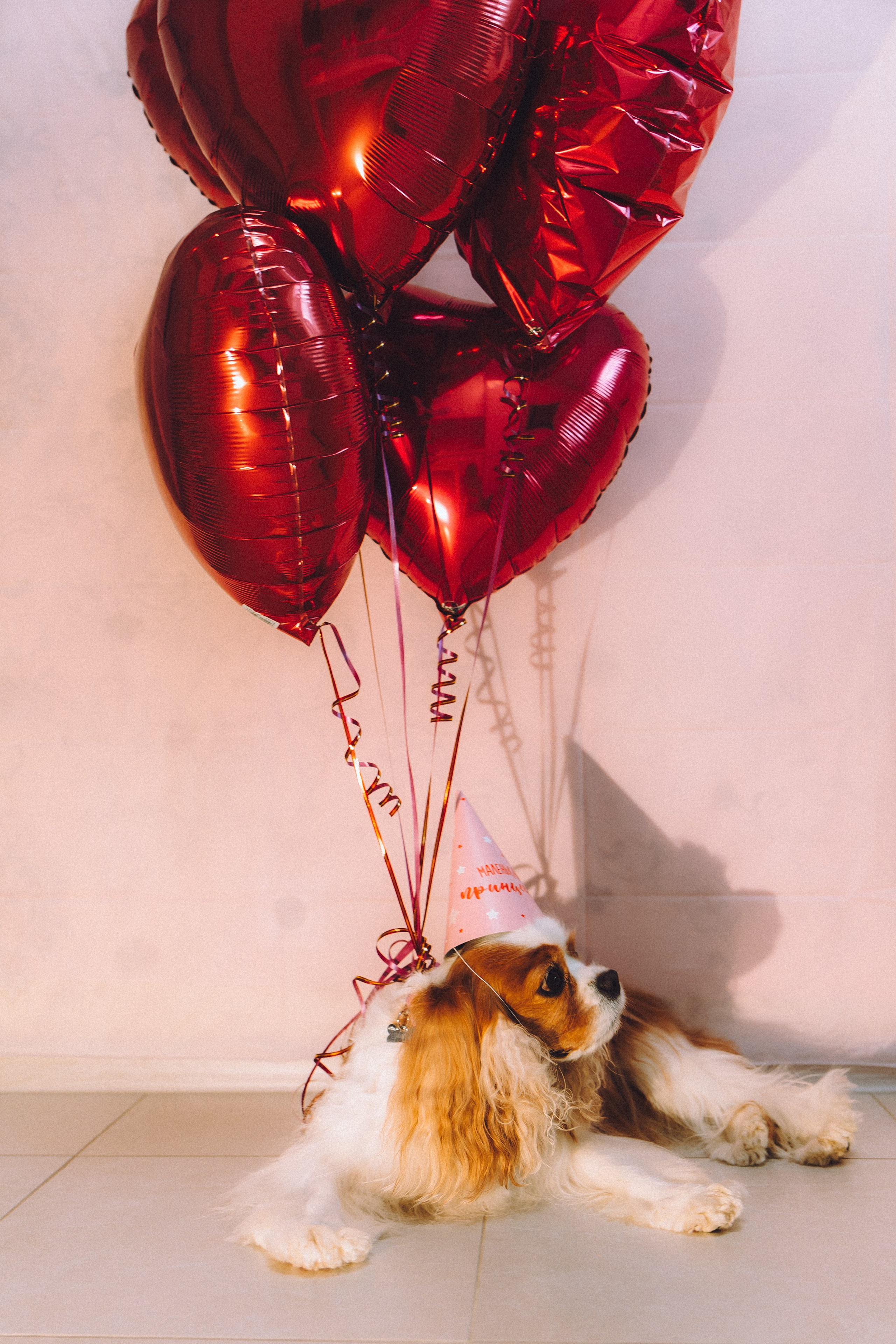 Наташа и Вики