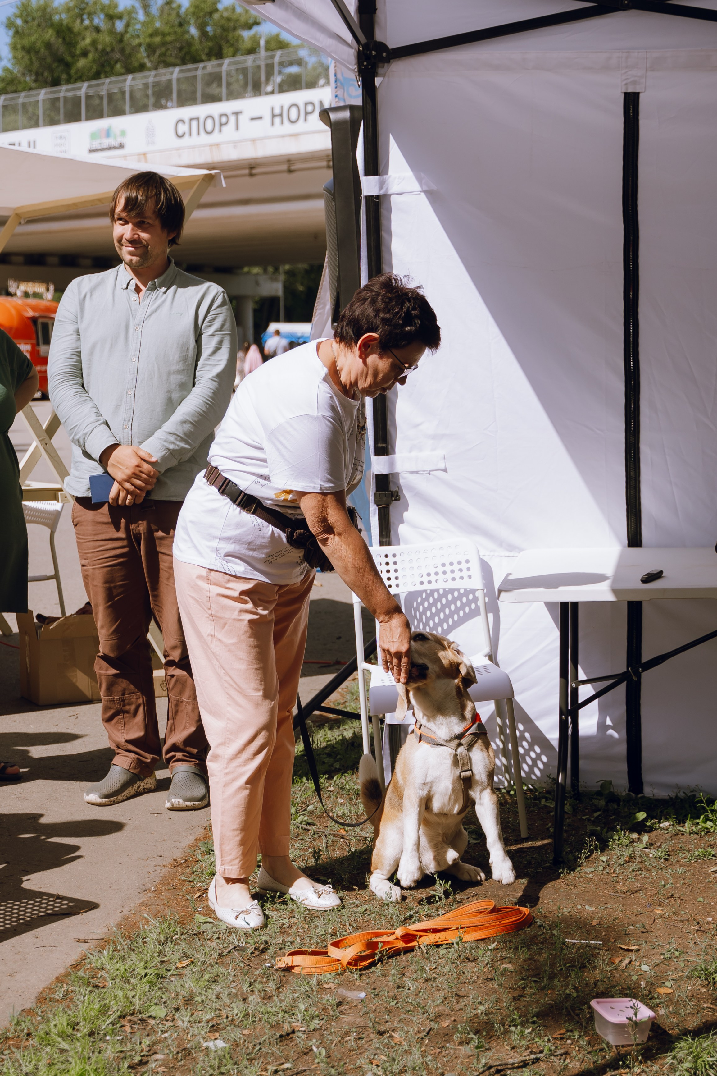 Площадка фестиваля «Мампус и его друзья» в Лесопарке 2025. Фотограф Надежда Погребняк | Рязань | Москва
