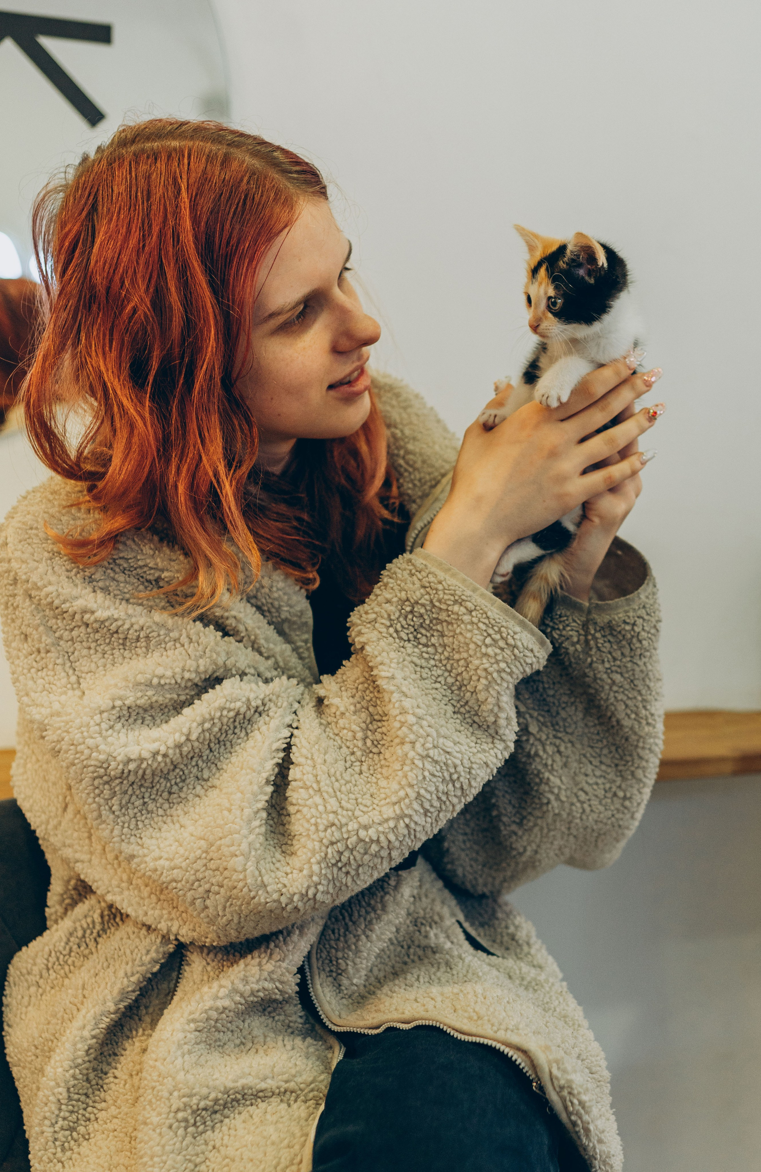 Соник. Фотограф анималист в Спб недорого Олеся Майорова