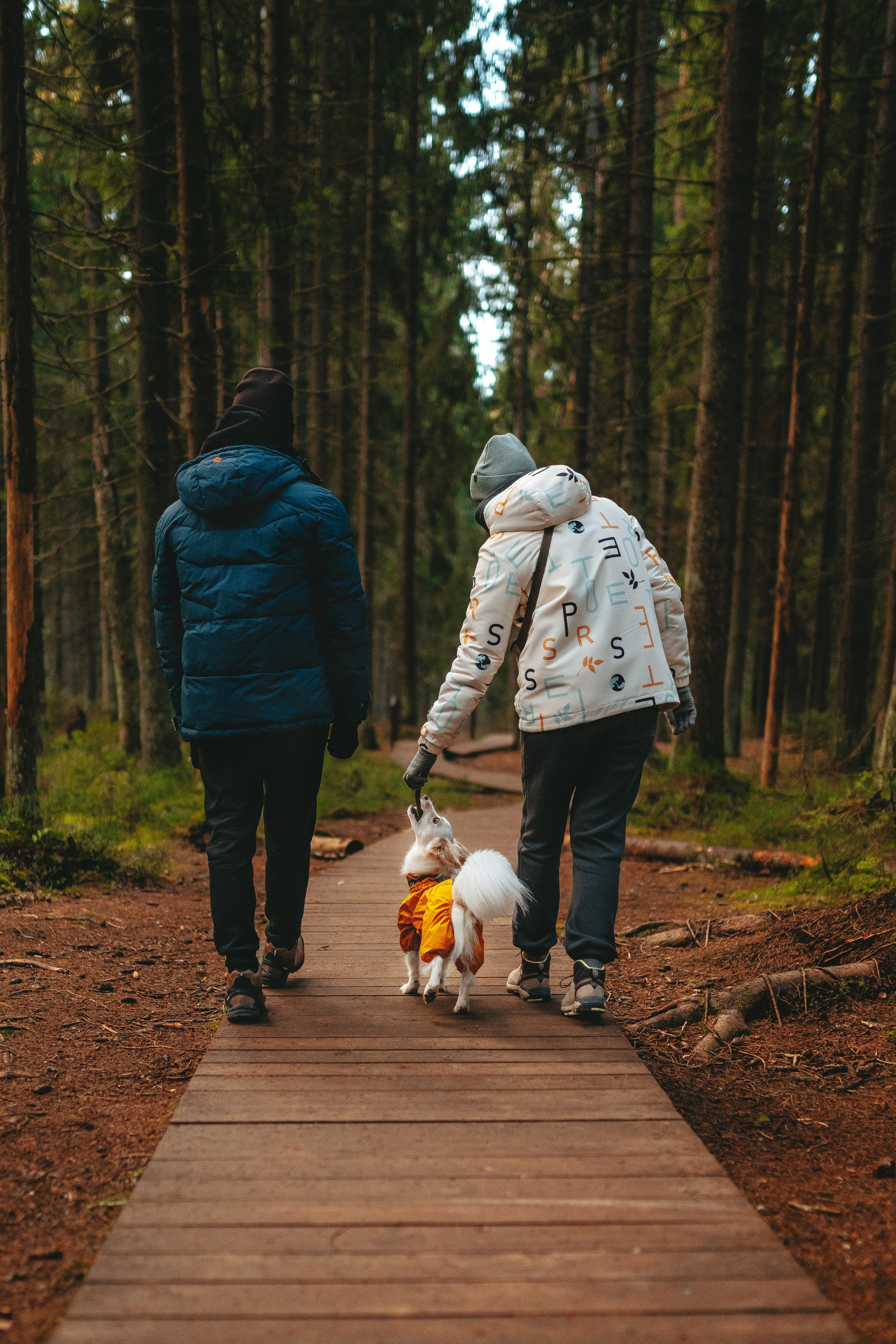 Бруно, Алена и Антон. Фотограф анималист в Спб недорого Олеся Майорова