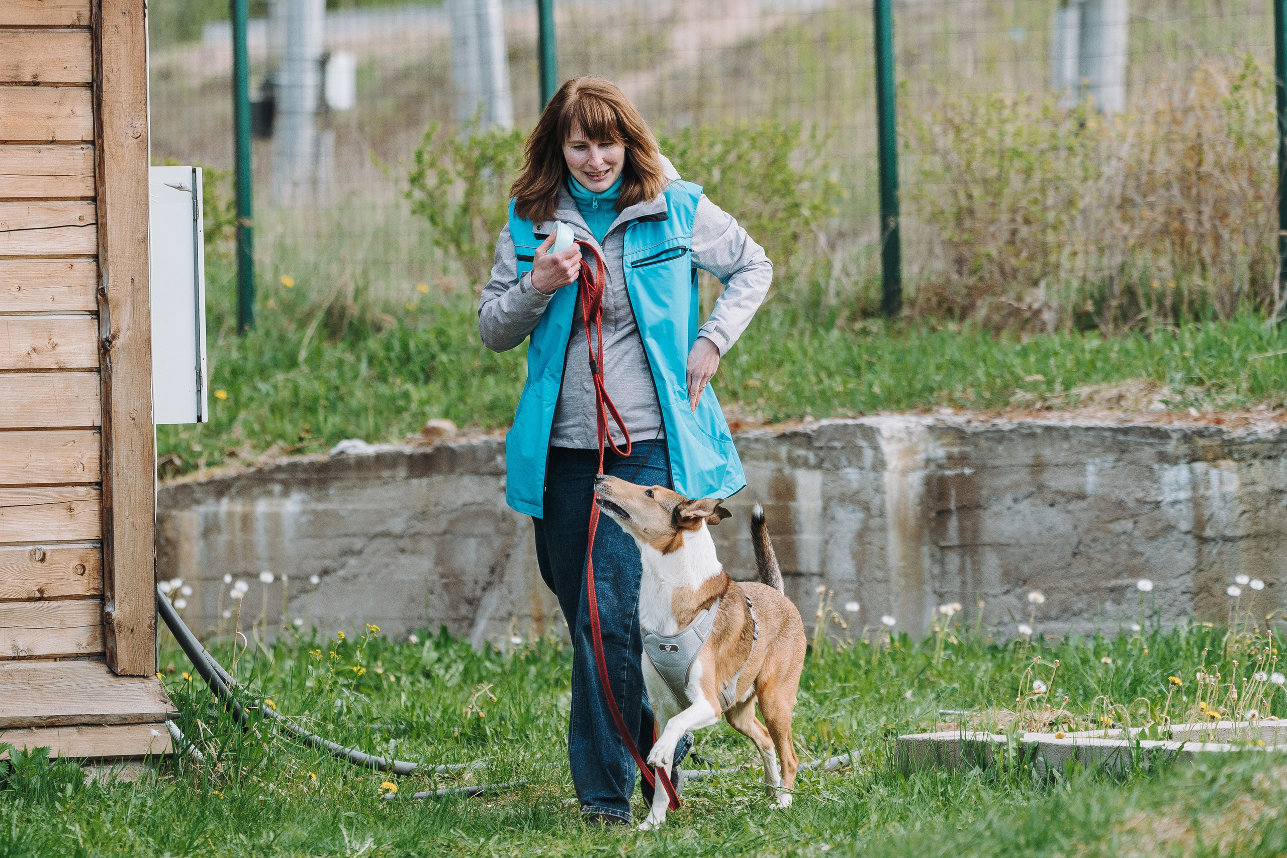 Соревнования по ноузворку в Лосево. Фотограф анималист в Спб недорого Олеся Майорова