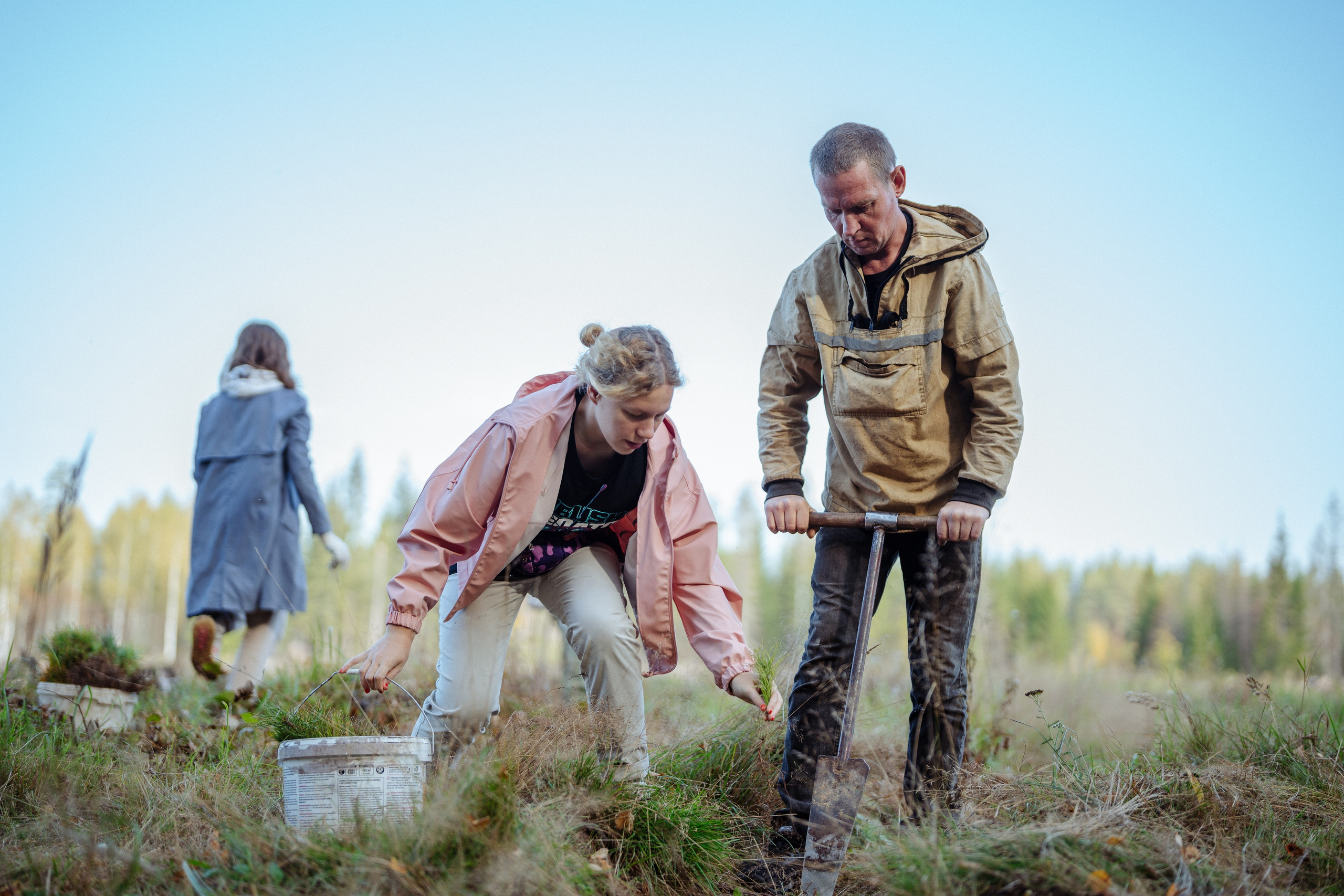 СБЕР · ЭКА · Посадка сеянцев. Владимир Вершинин, тот самый свадебный видеограф