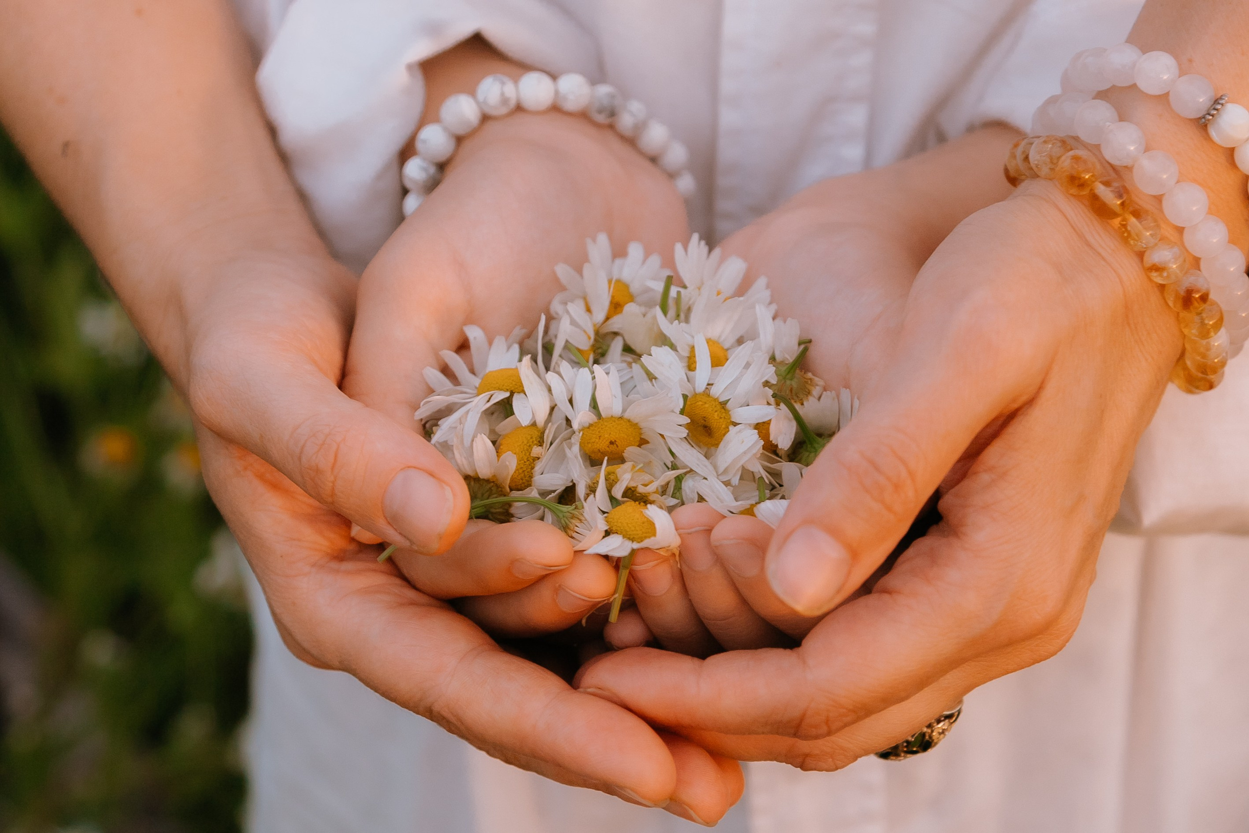 Фотосессия в ромашках