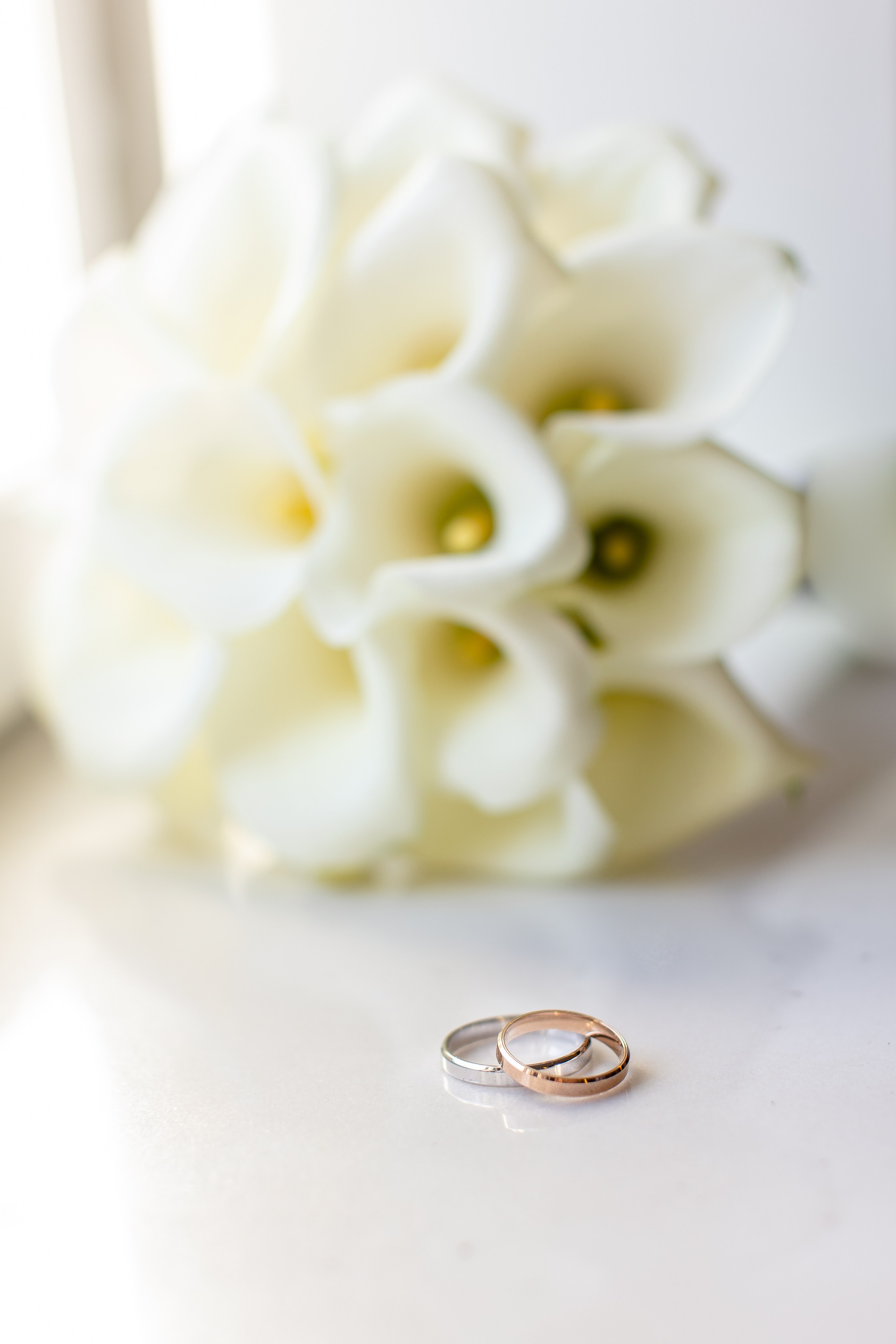 Сборы. Nuta ART - photo-video creator