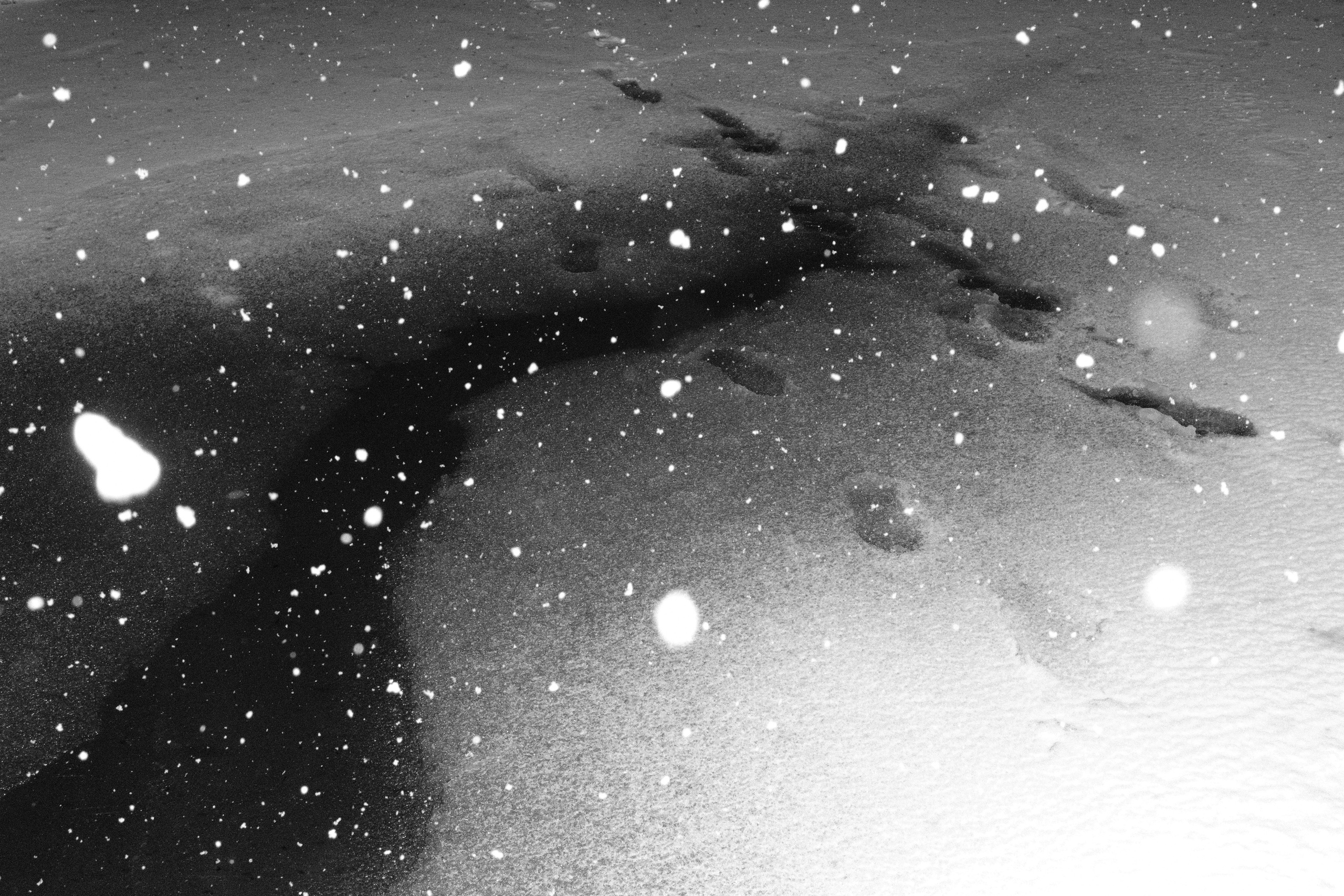 Black and white diary