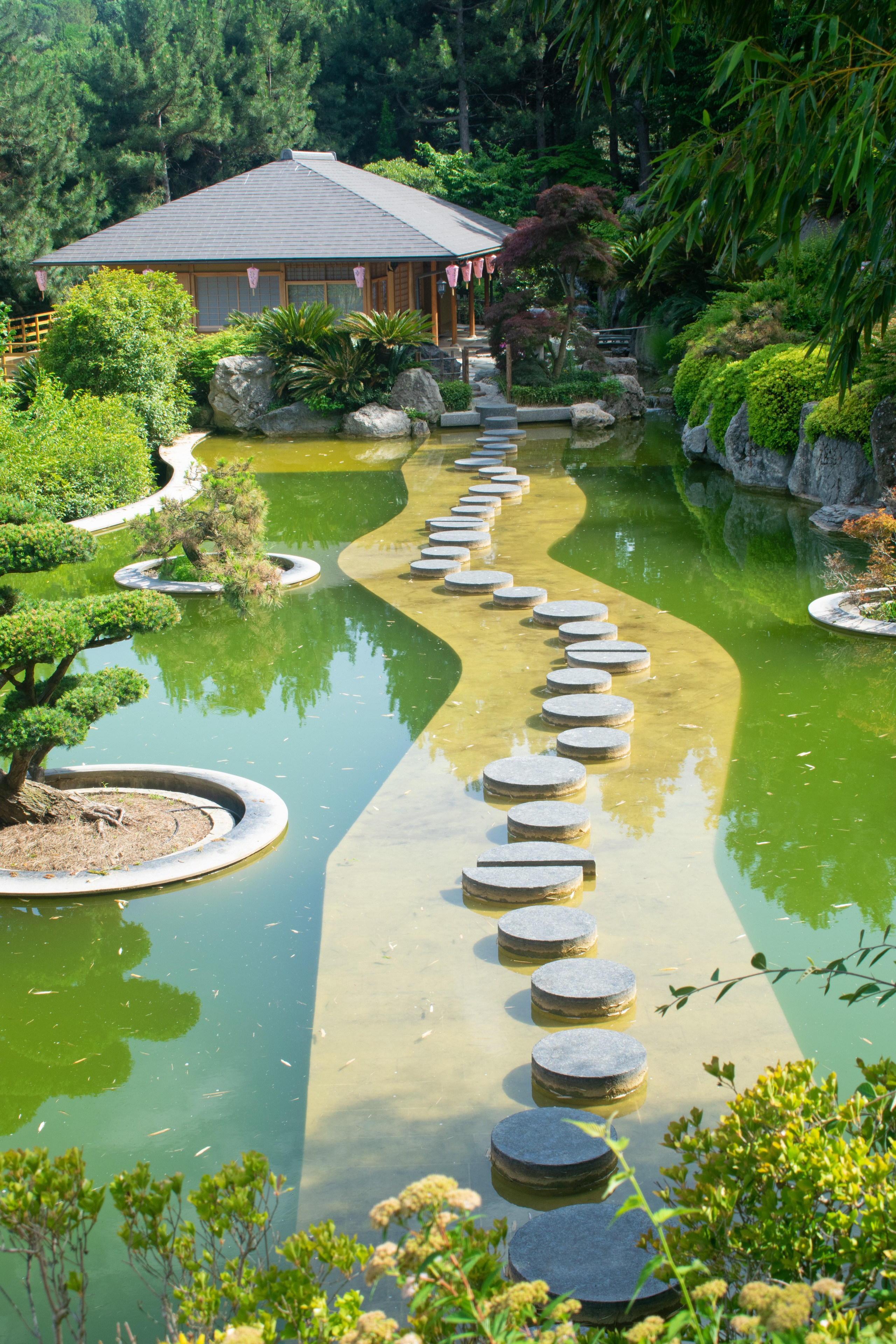 Садово-парковая и ландшафтная фотосъёмка. Фотограф в Карелии, Сортавала, Рускеала Наталья Зверева