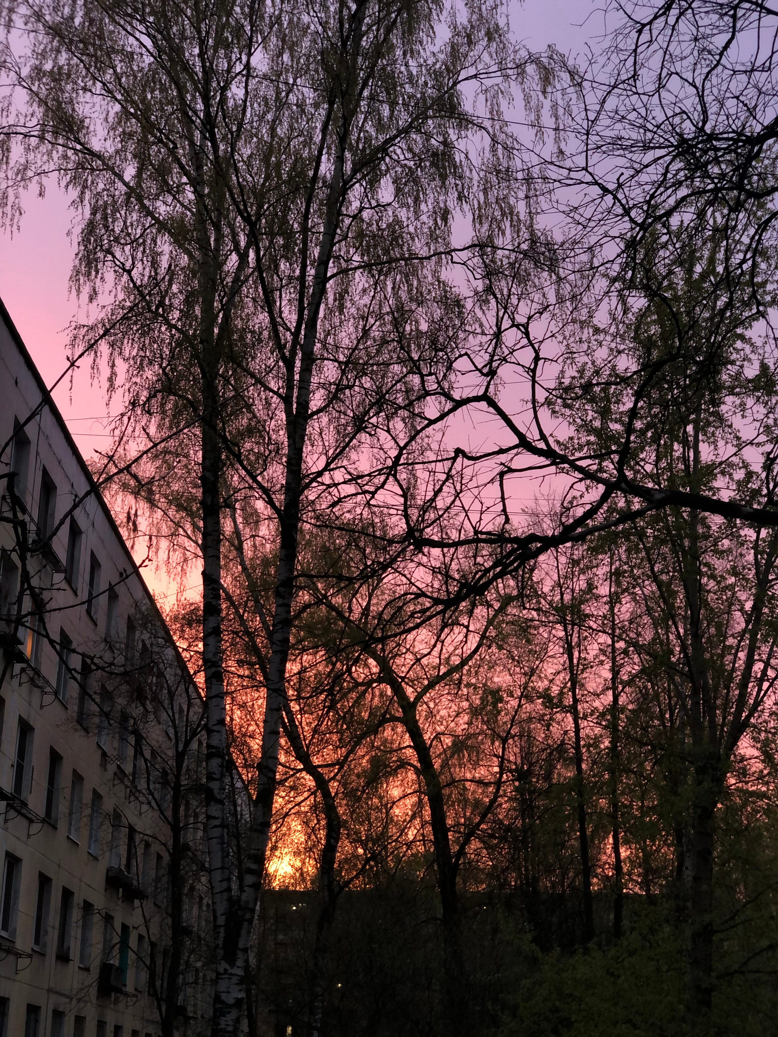 Апрель. Семейный, Свадебный фотограф СПБ Питер— Романова Екатерина