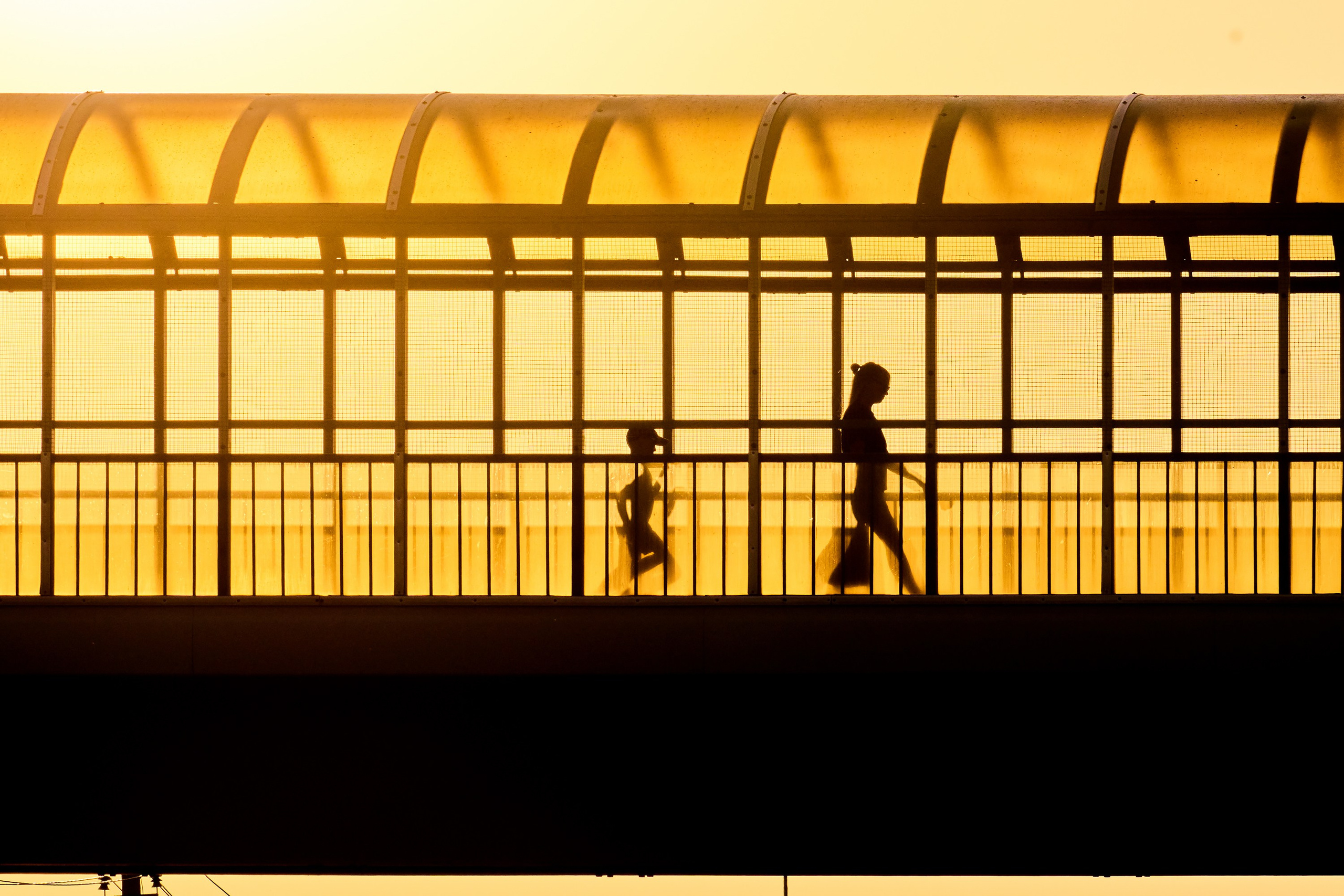 Жизнь, люди, стрит, вокруг, животные, на улице. Яркие фото на Чёрном море