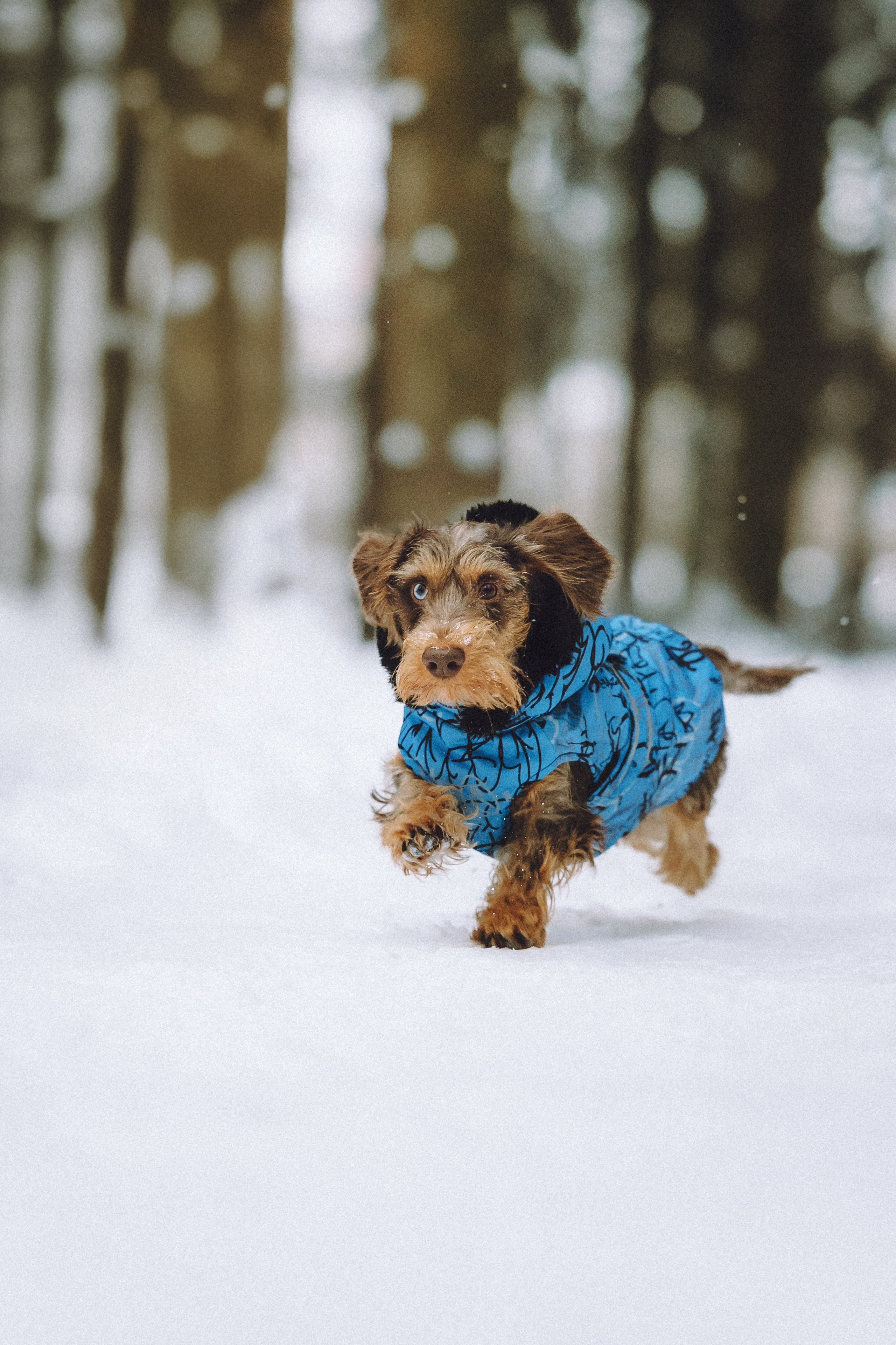 Каспер и его семья