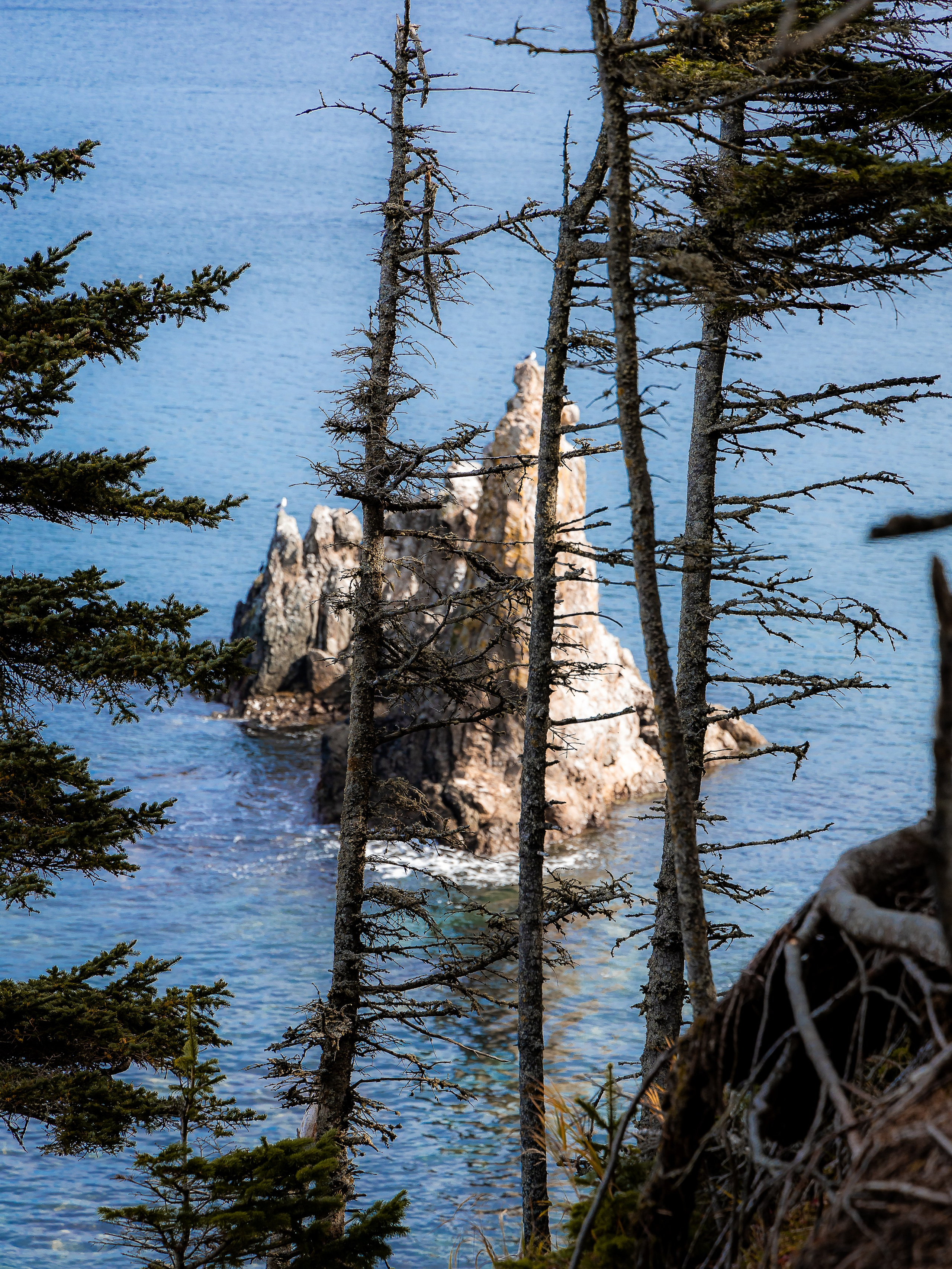 Мыс Великан. Инга Кузьминская ТОП-фотограф г. Корсаков