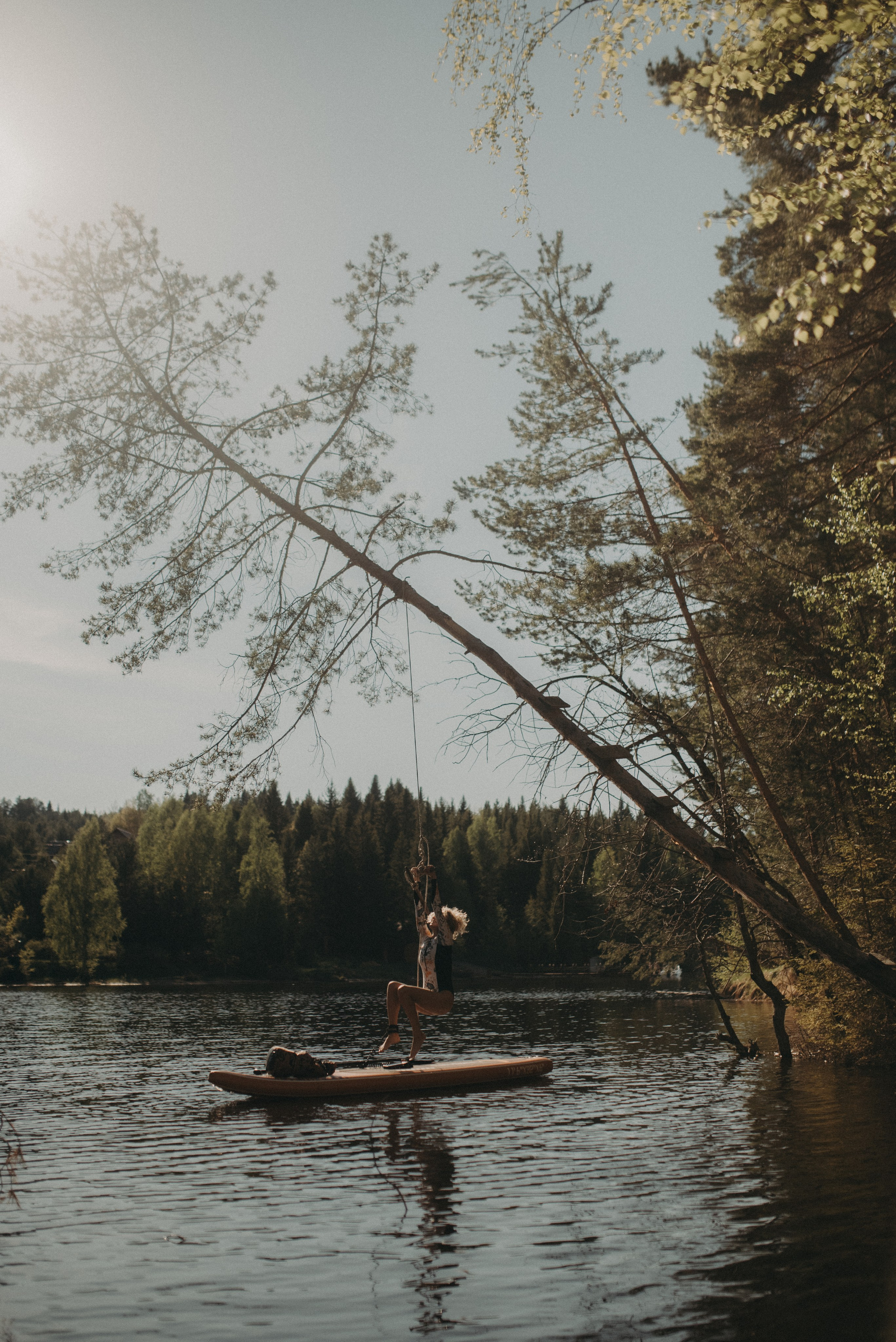 Шалаш среди леса. Главная