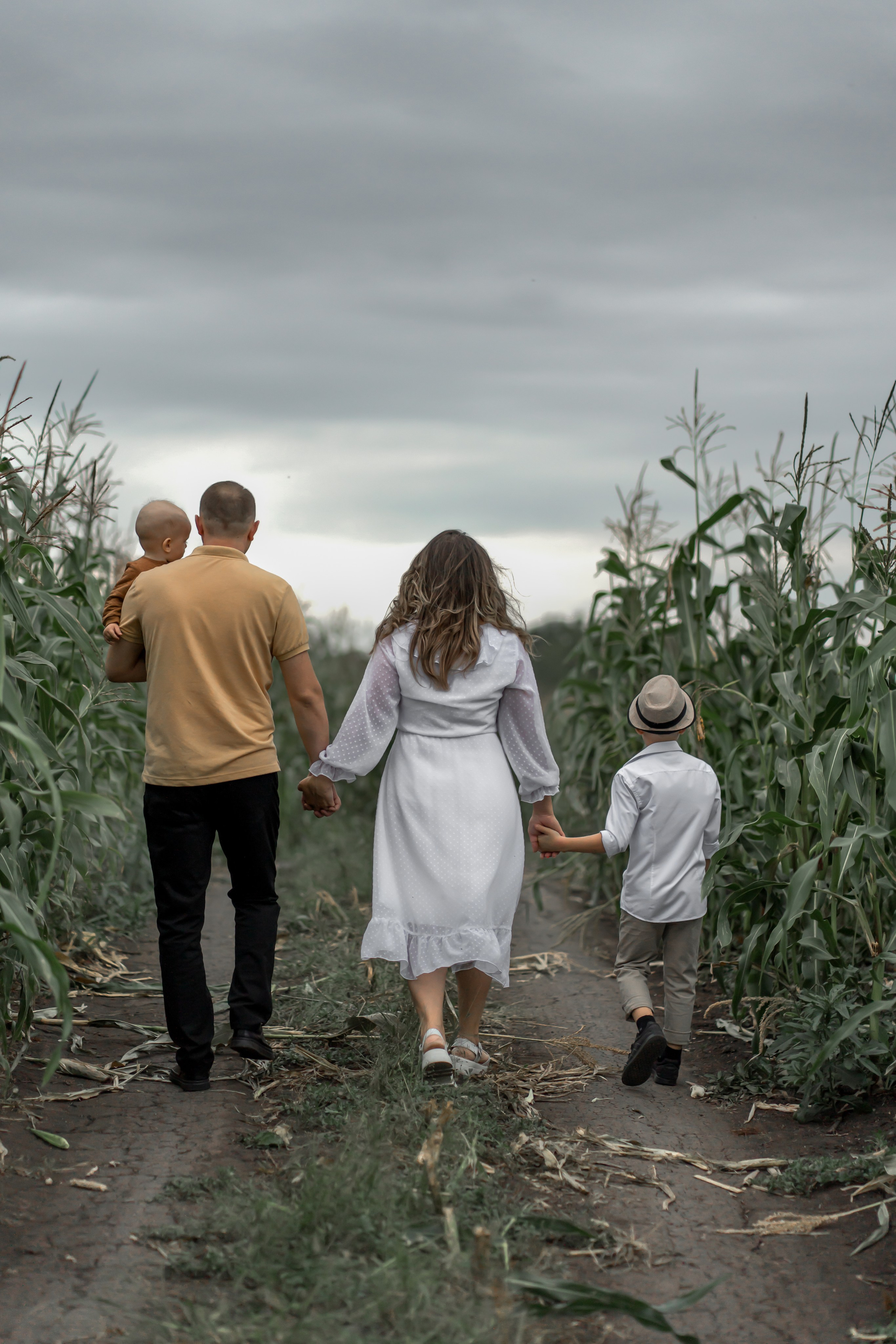 Прогулка в кукурузе. Фотограф в Красноярске. Юлия Чаушанская