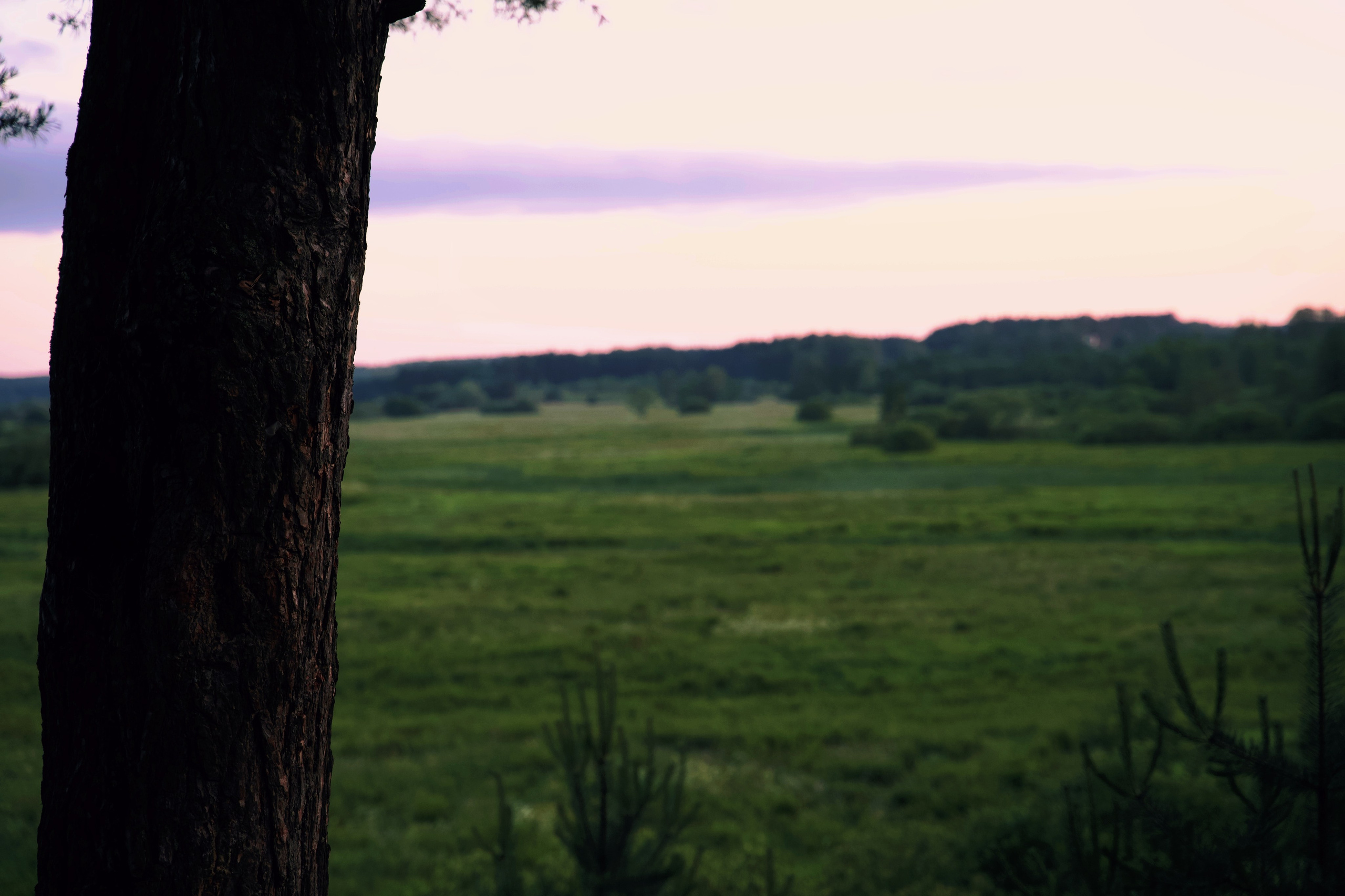 ПРИРОДА. Разноплановый фотограф из Москвы/Твери