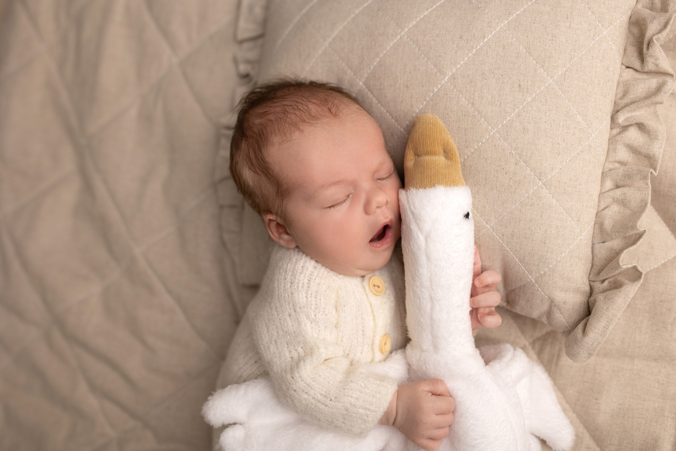 Степан. Лилия Алтухова — фотограф новорожденных в Москве и области