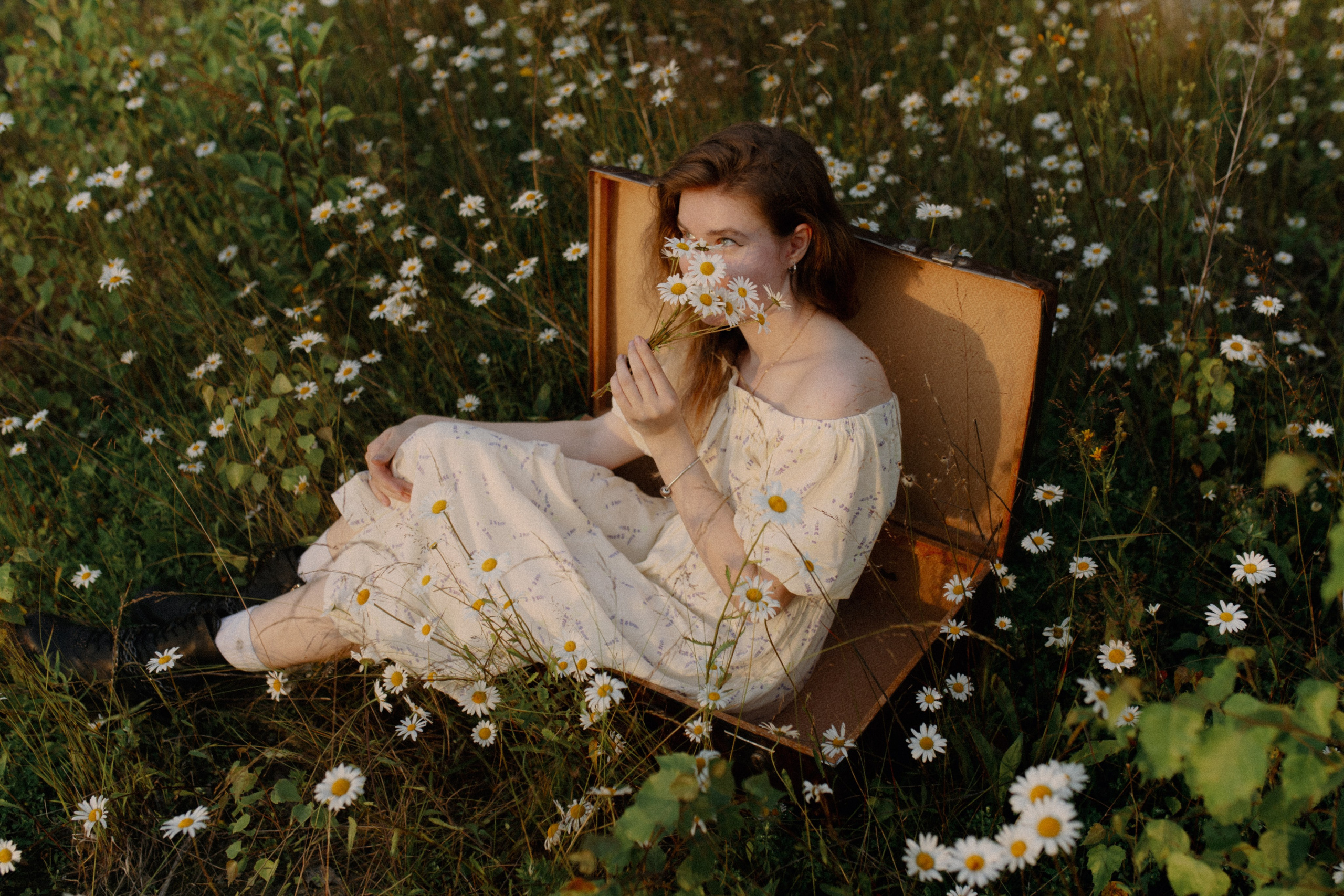 Fearless cats. Wed Photographers 📷 Saint Petersburg