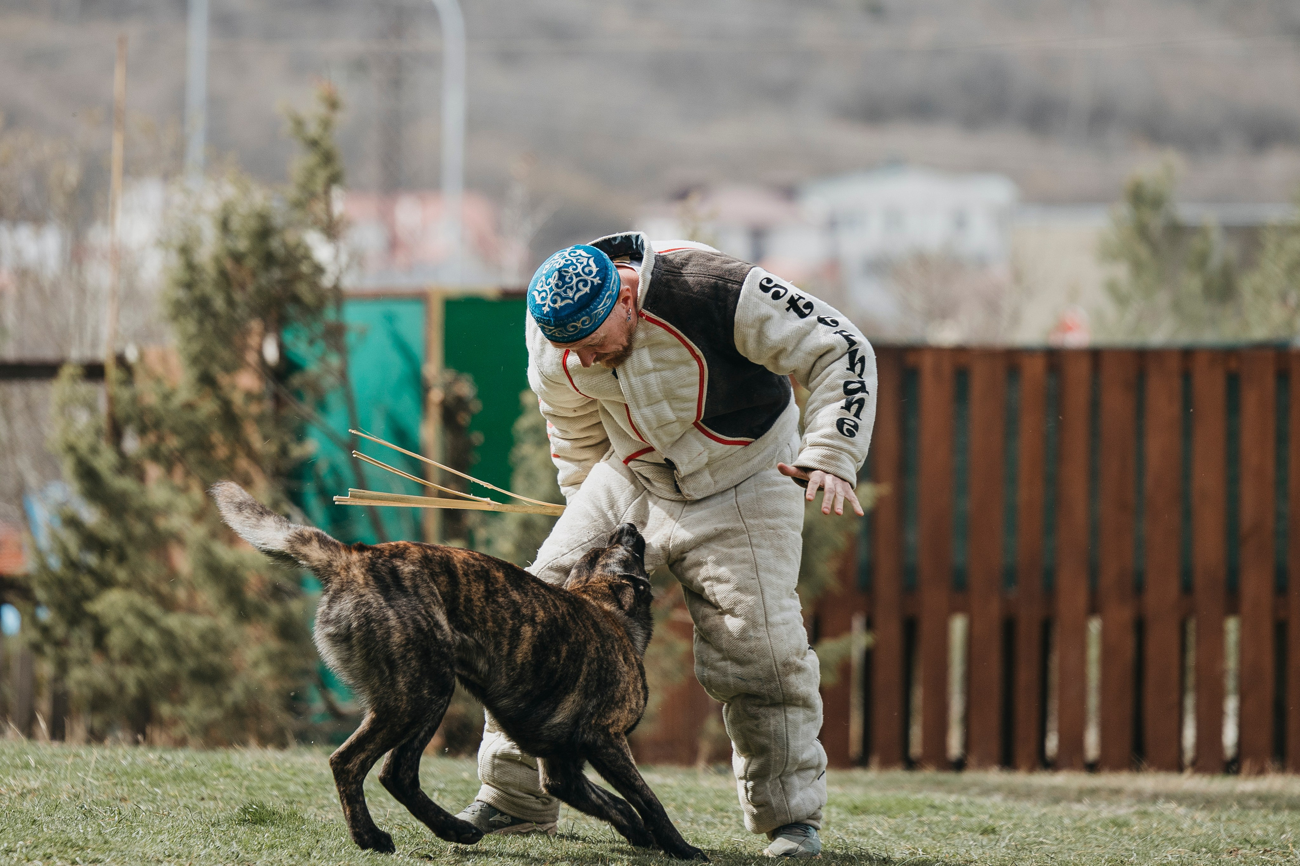 Геленджик Мондьоринг. Фотограф-анималист Анна Маринич