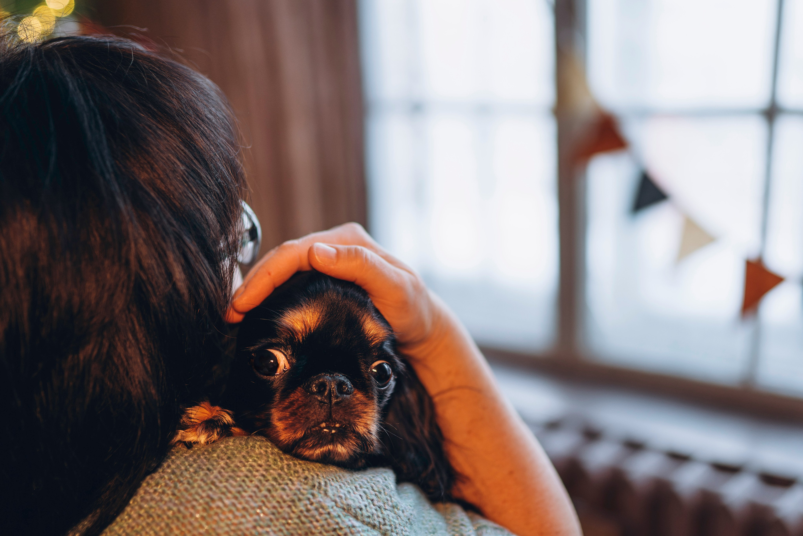 Ариша и её семья. Фотограф анималист в Спб недорого Олеся Майорова