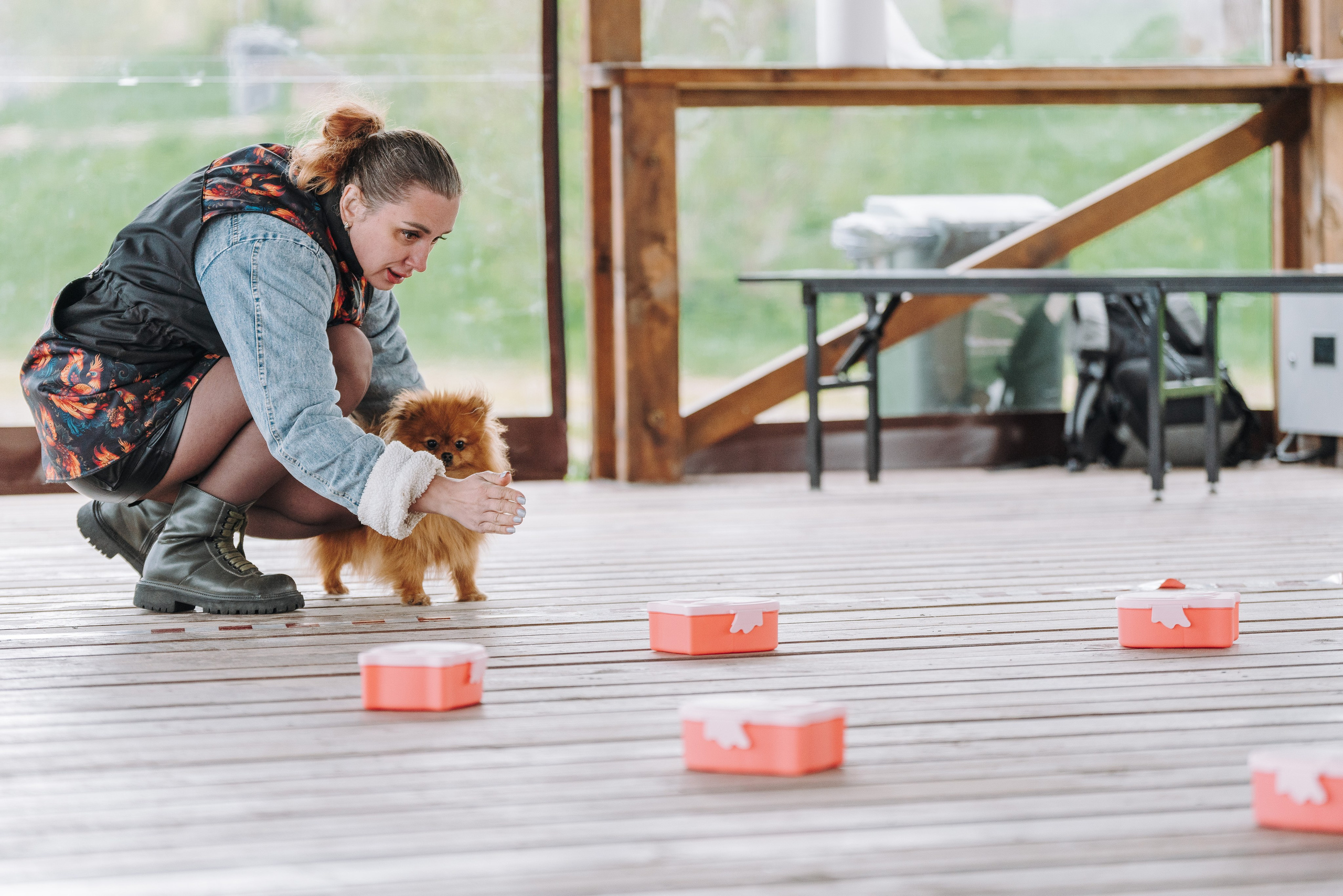 Соревнования по ноузворку в Лосево. Фотограф анималист в Спб недорого Олеся Майорова