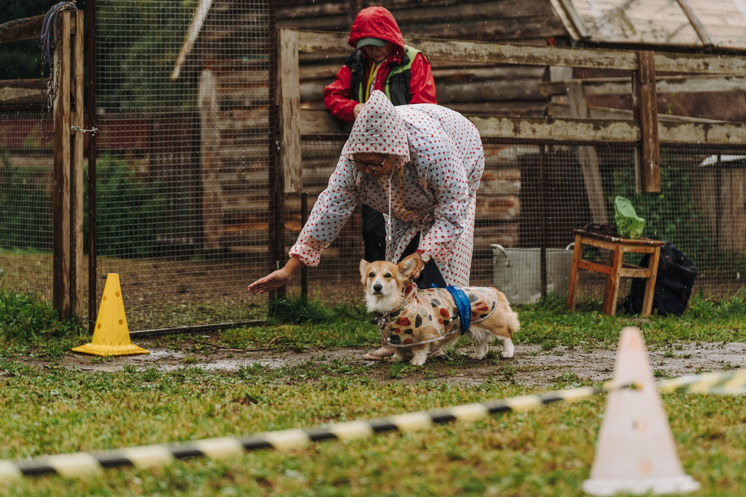 Соревнования по ноузворку в Новожилово. Фотограф анималист в Спб недорого Олеся Майорова