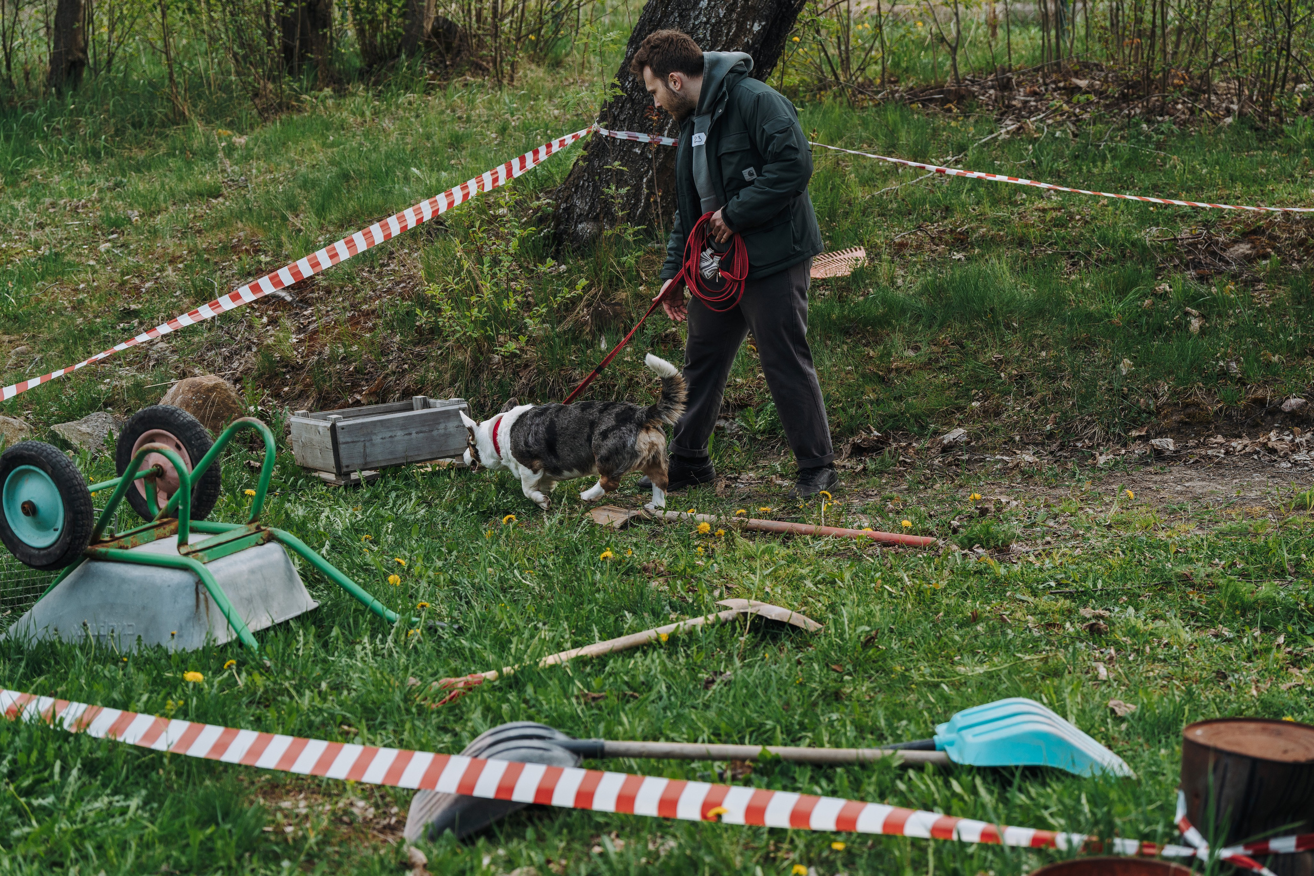 Соревнования по ноузворку в Лосево. Фотограф анималист в Спб недорого Олеся Майорова