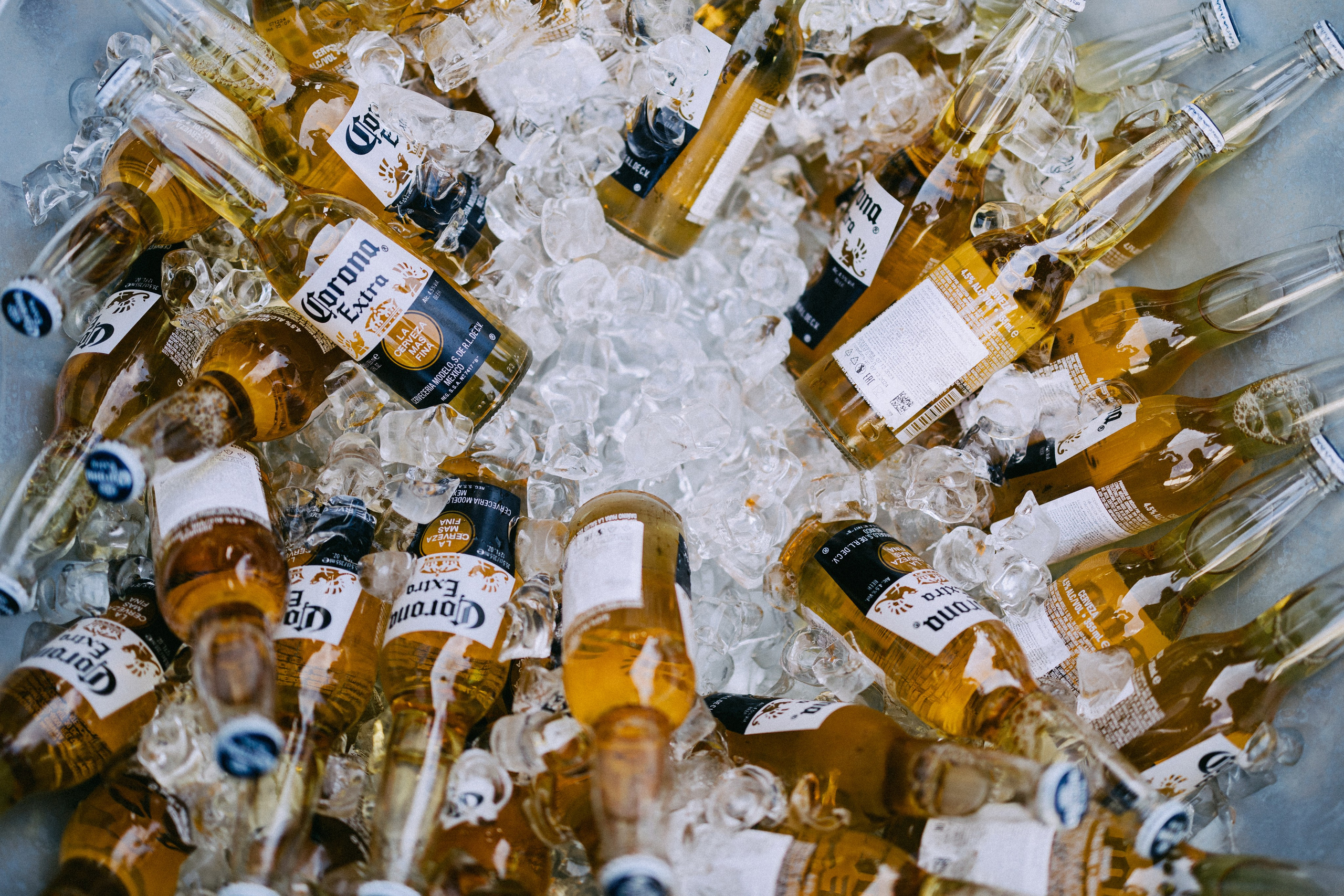 Masha x Sasha. Daria Chigintseva Photographer