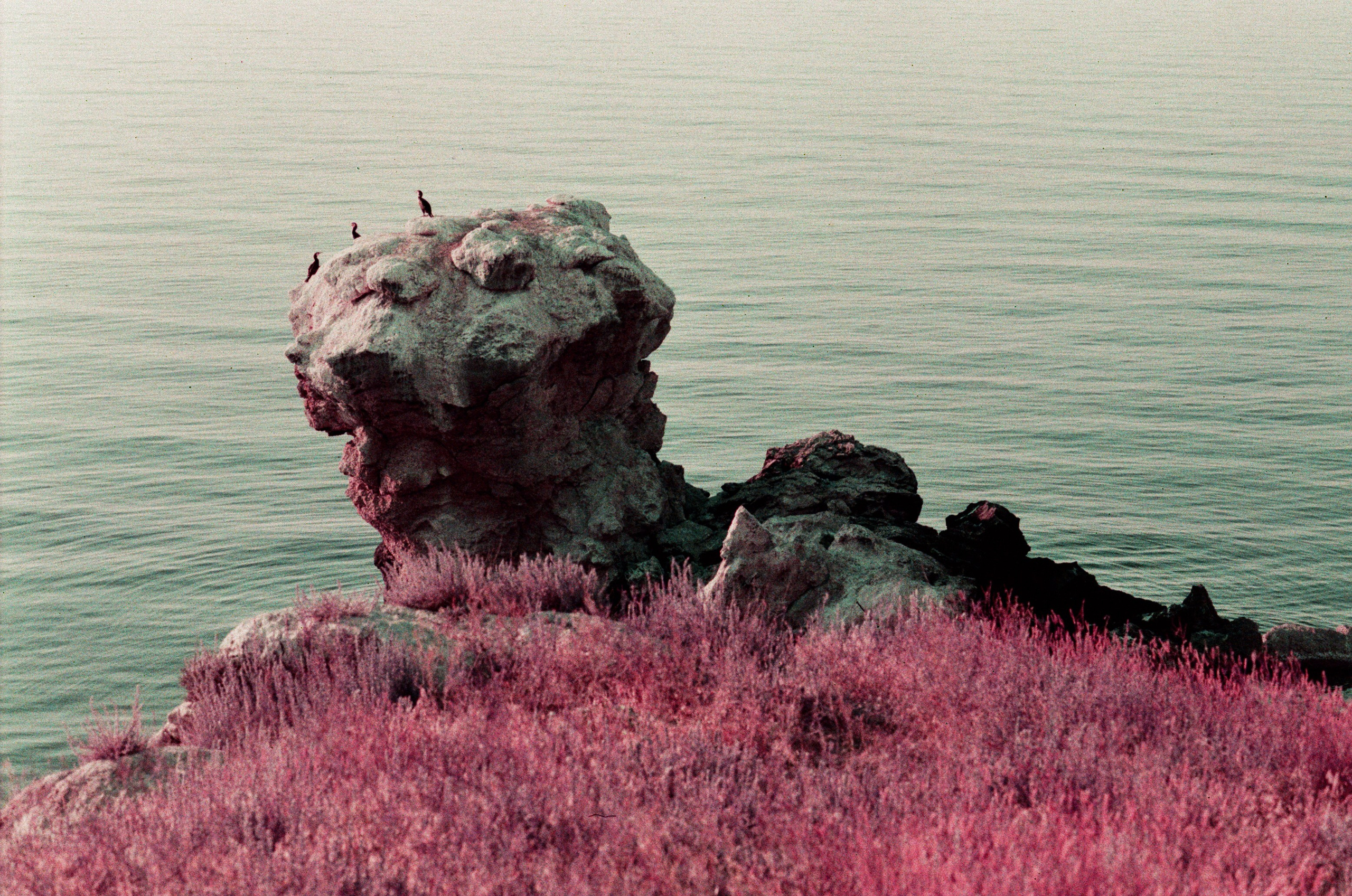 Dig it // ukraine, crimea VI. EVER EXPOSED