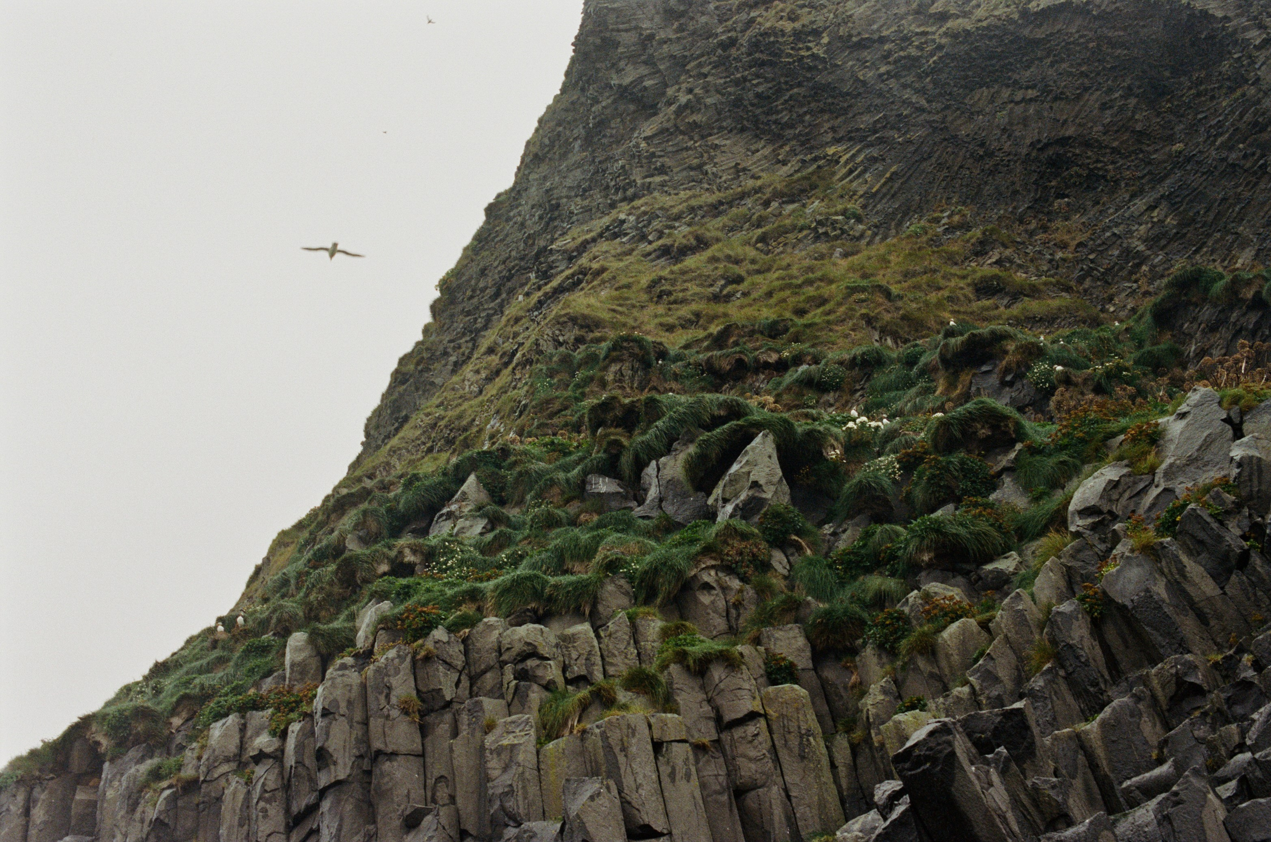 Human // iceland, reynisfjara. EVER EXPOSED
