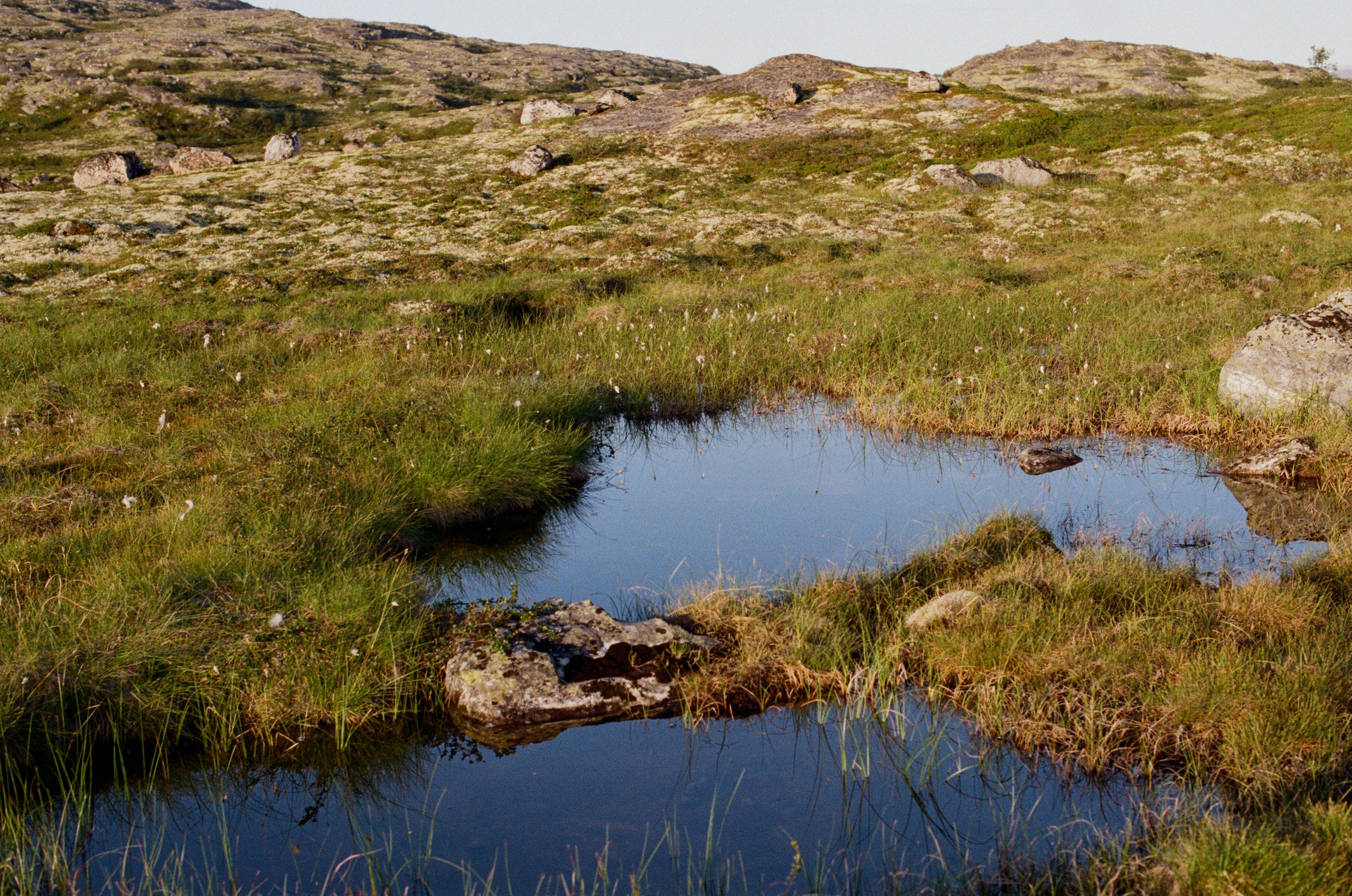 High and dry // kola peninsula. EVER EXPOSED