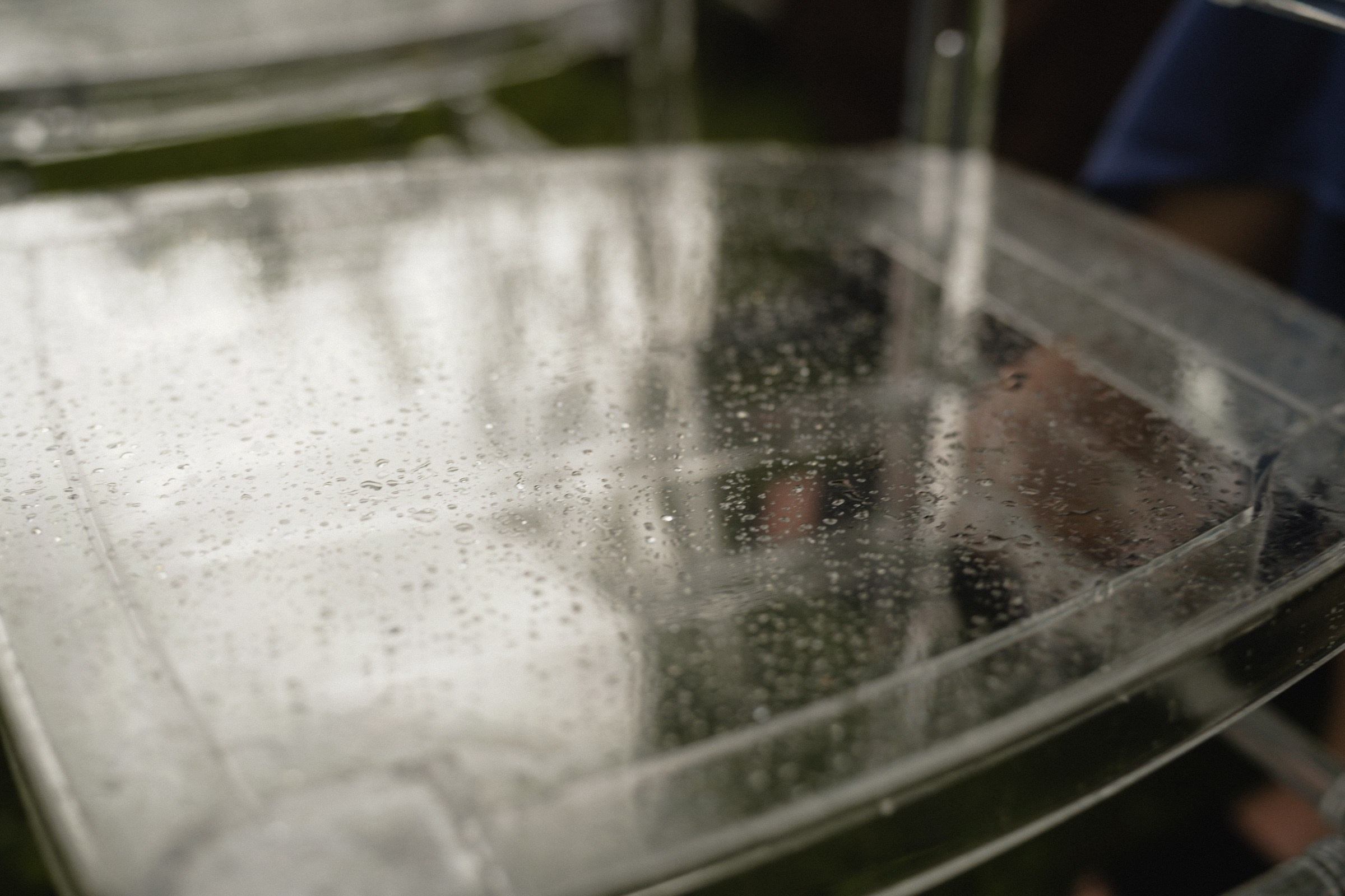 АРИНА И МИХАИЛ. Свадебный и семейный фотограф в Абакане Василевский Алексей