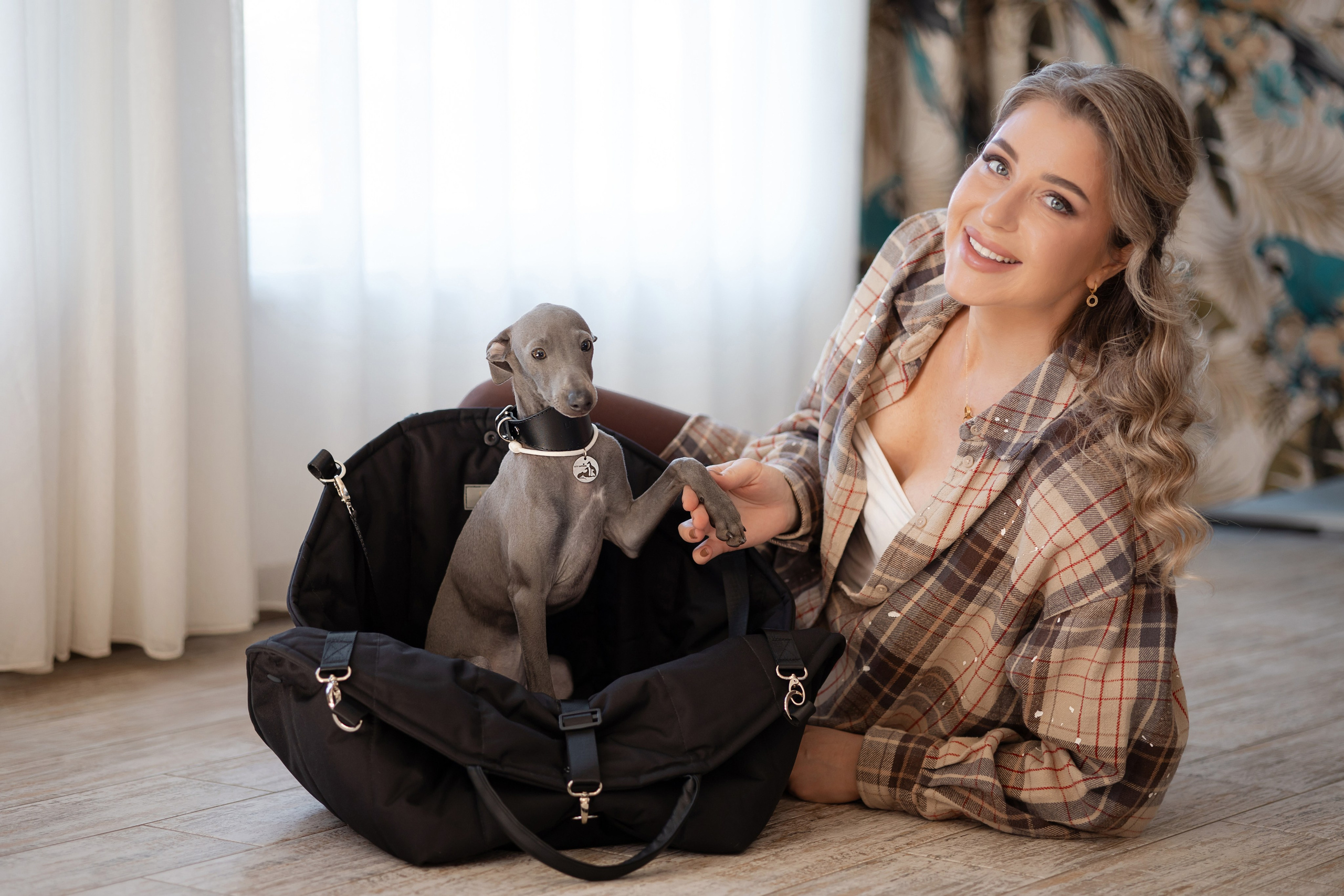 Авиапереноски. Professional Italian Greyhound Kennel RKF/FCI ASTI SAPPHIRE 💎 Sochi|St. Petersburg