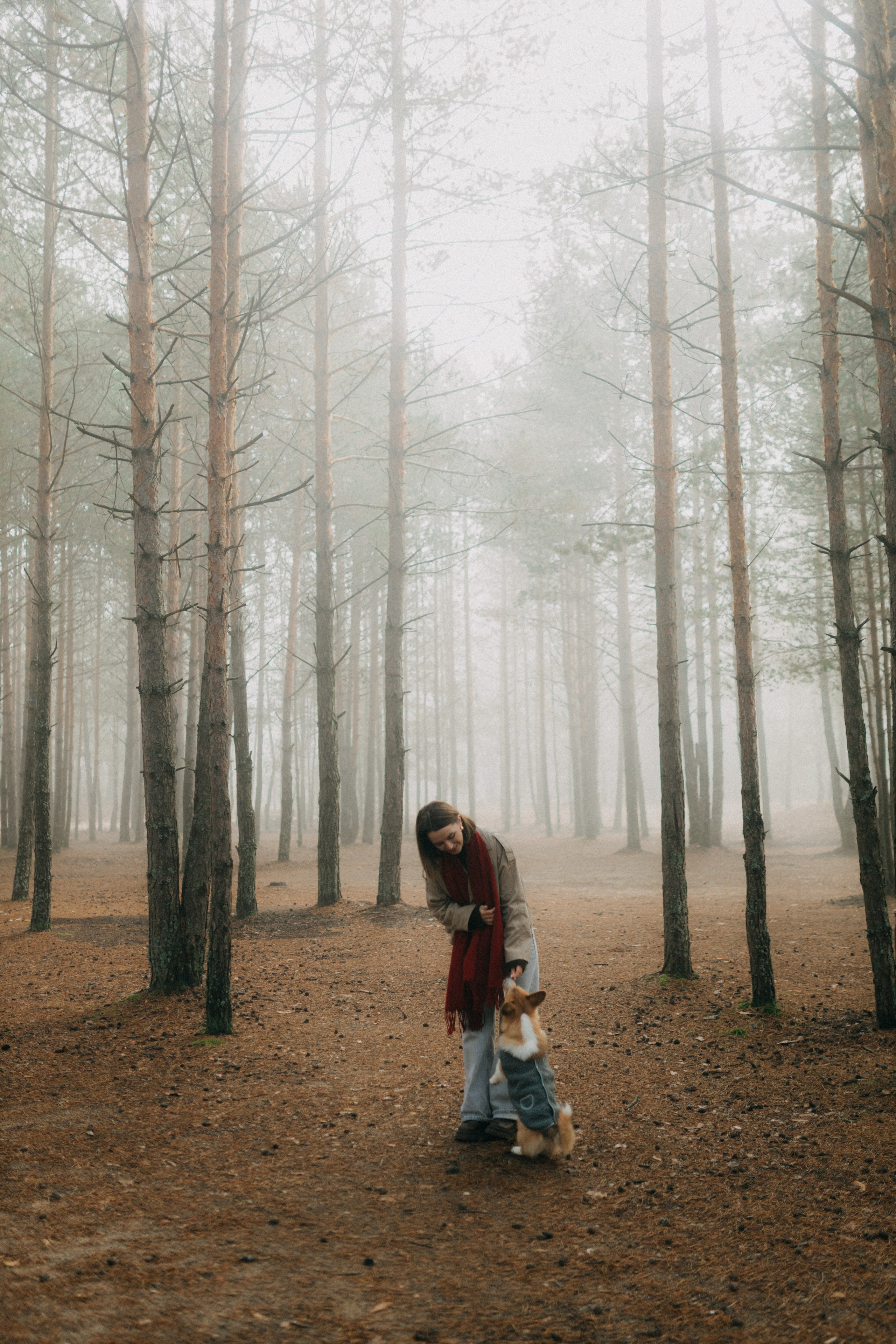 Алина. Фотограф НОГИНСК, Москва, Анастасия Белая