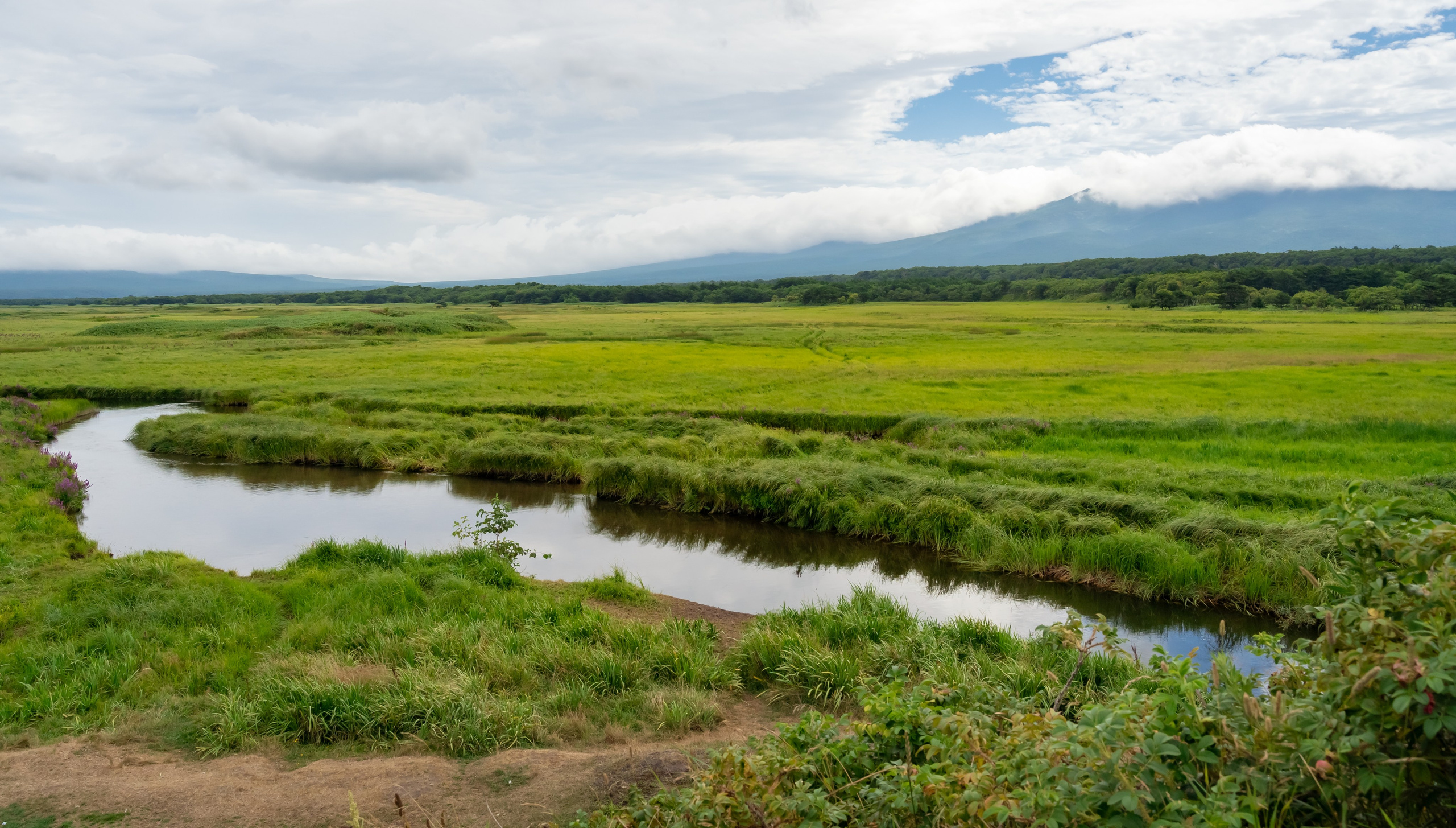 Итуруп. Семейный фотограф Варвара Сорока в городе Москве