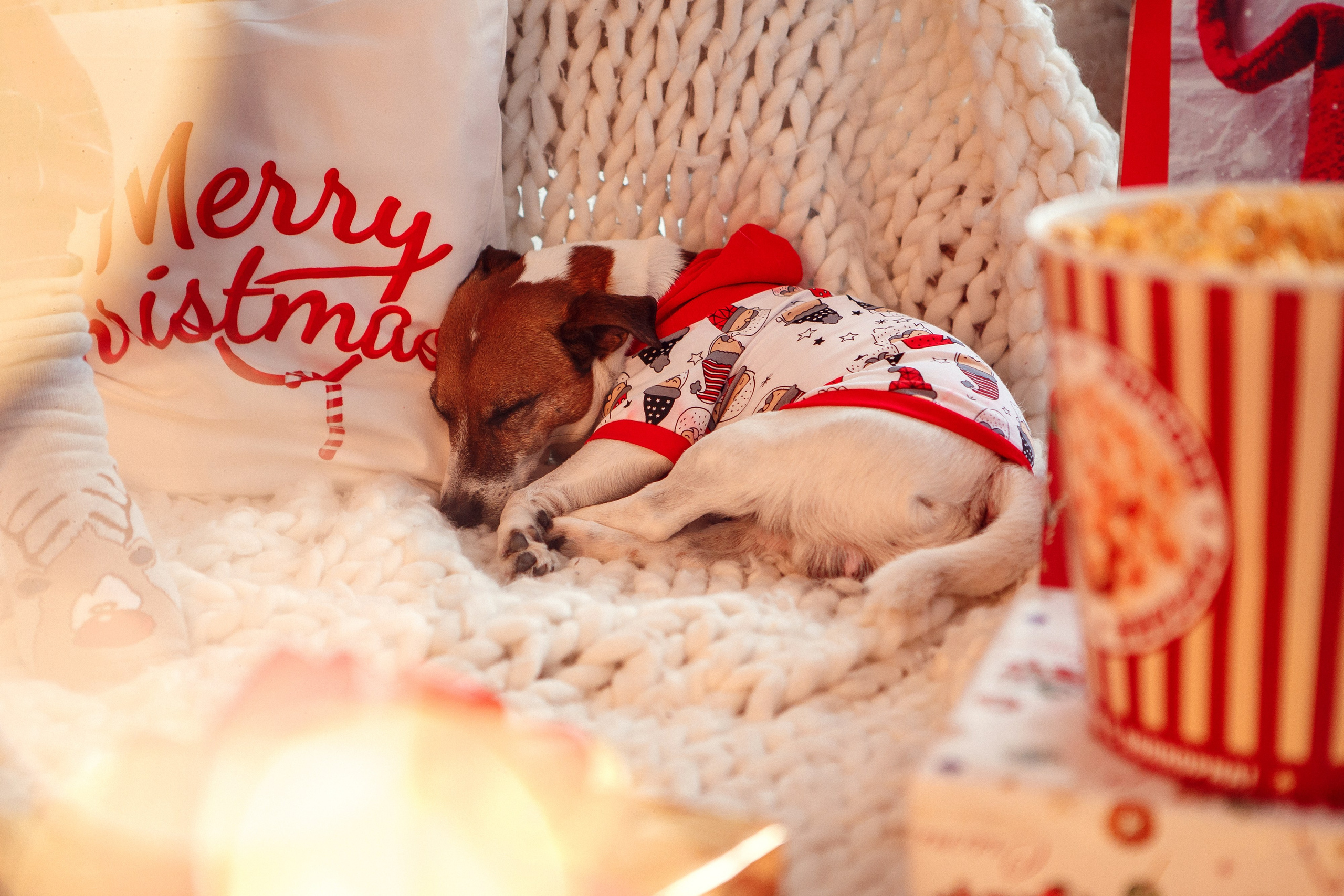 «Пижамный» Новый Год. Фотограф в Иваново и других городах Ирина Сметанкина