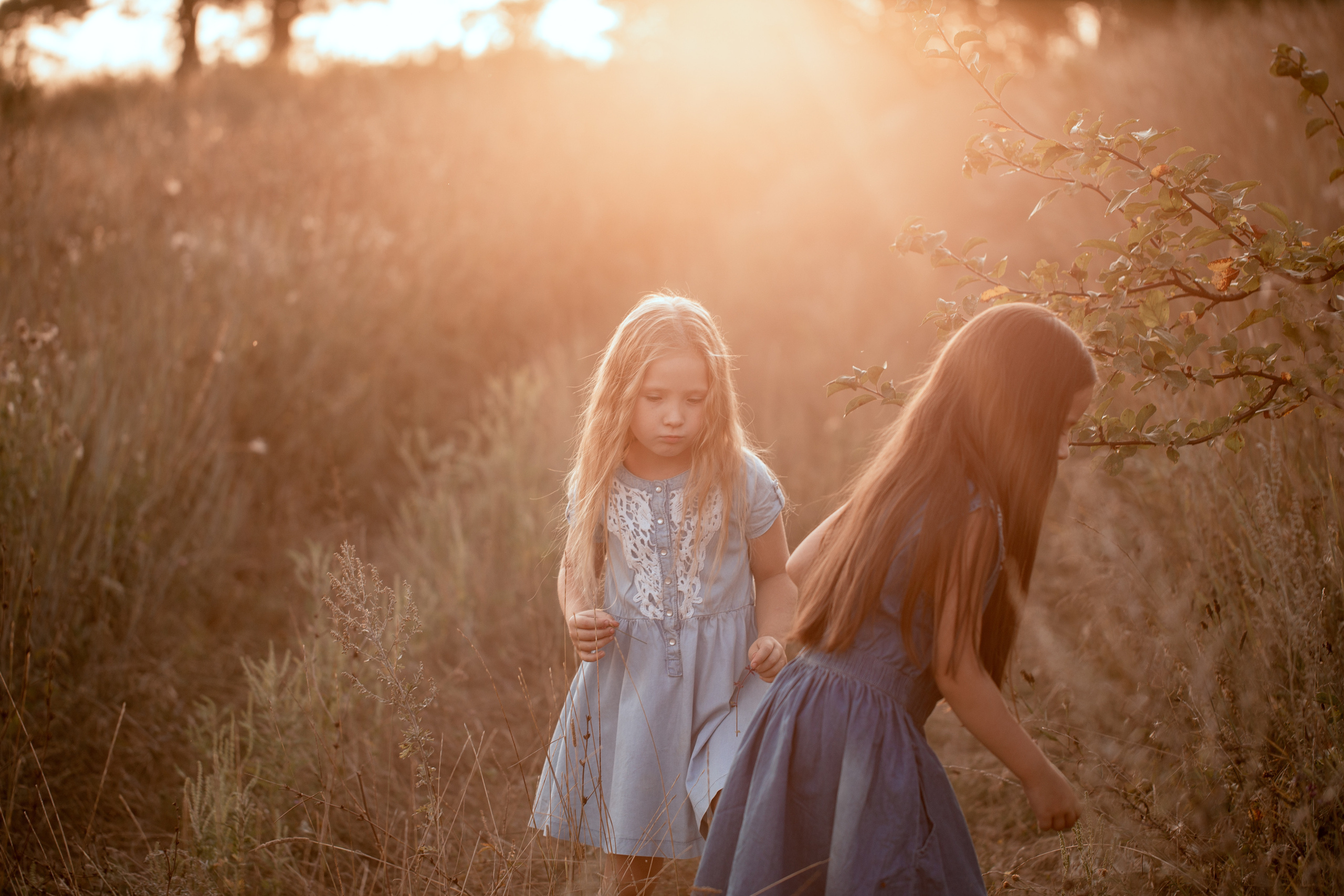 Сёстры. Портретный и свадебный фотограф в Белгороде Глухова Кристина