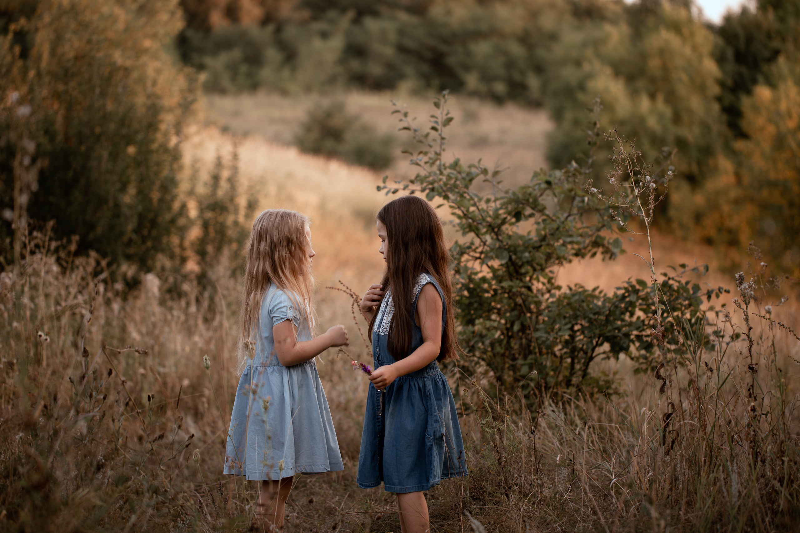 Сёстры. Портретный и свадебный фотограф в Белгороде Глухова Кристина