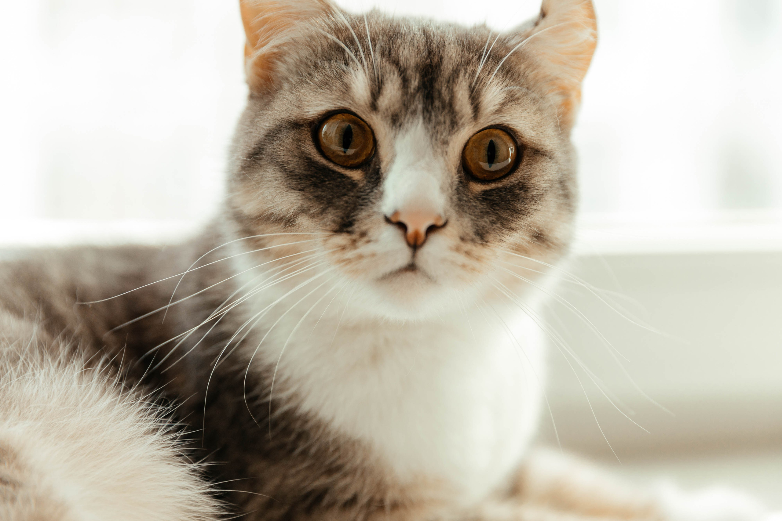 У мамы дома. Семейный и свадебный фотограф Лилия Матонина | Ангарск, Иркутск, Усолье-Сибирское, Байкал (Листвянка, Ольхон), Иркутская область