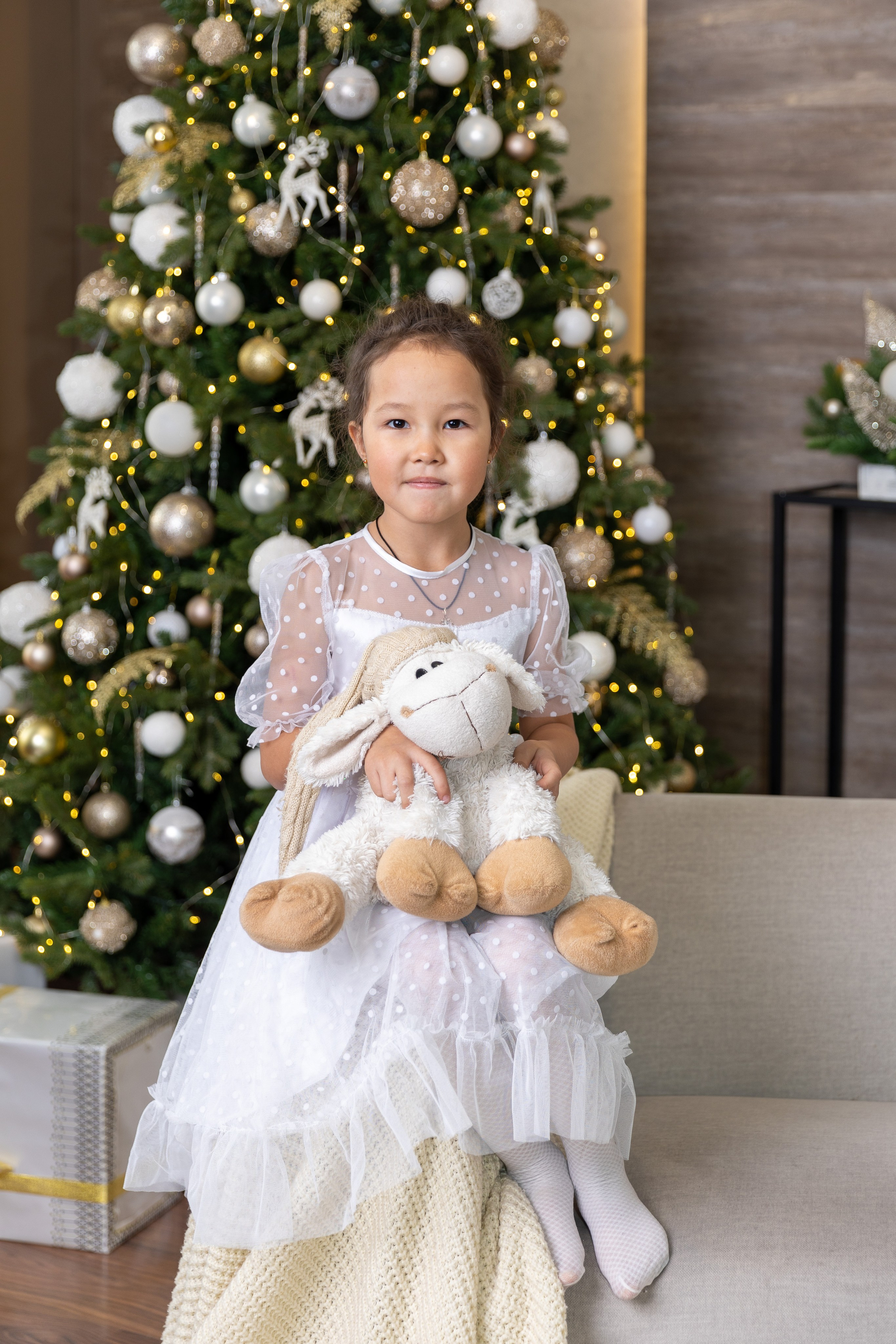 Новогодние фотоссесии. Фотограф 📸 семейный, предметный, репортажный