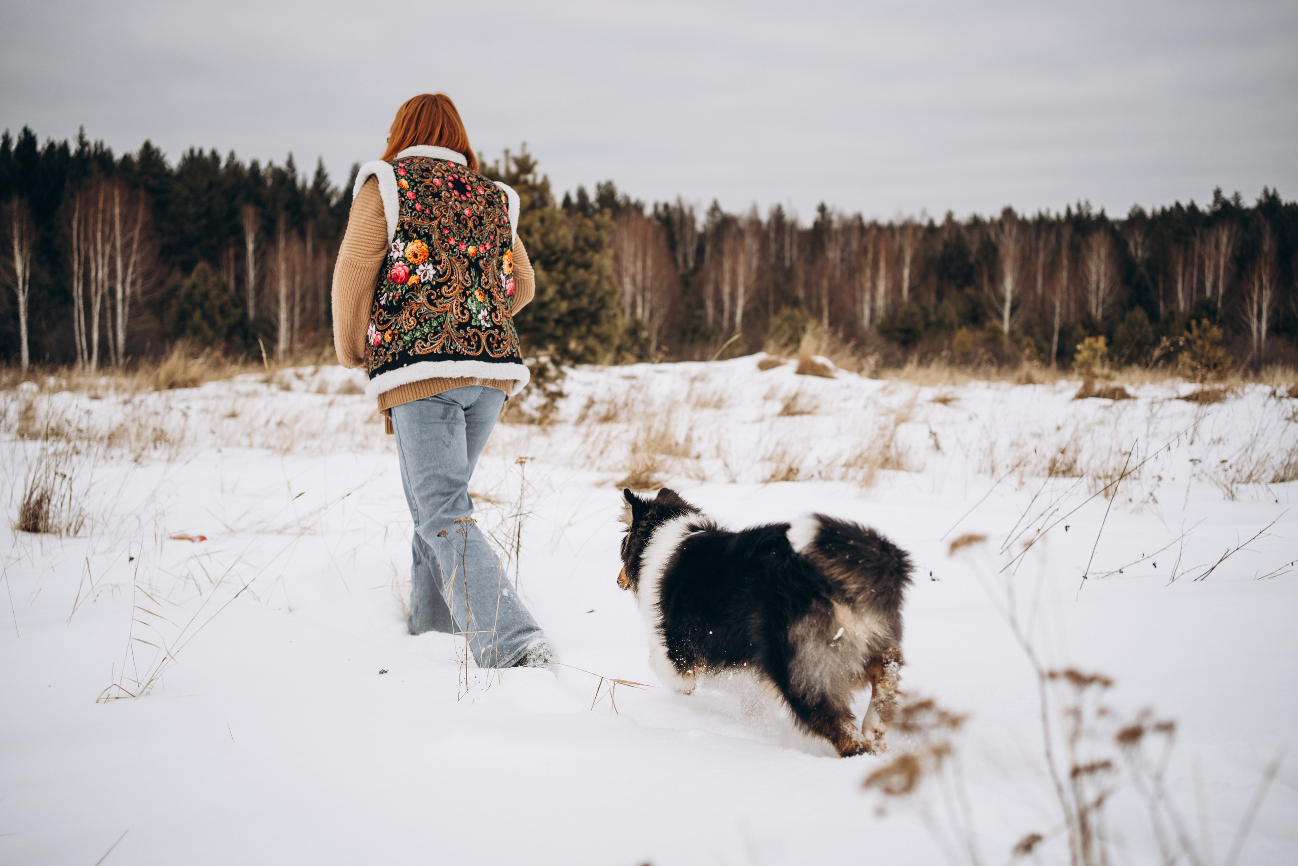 Альма. Фотограф-анималист Анастасия Большакова