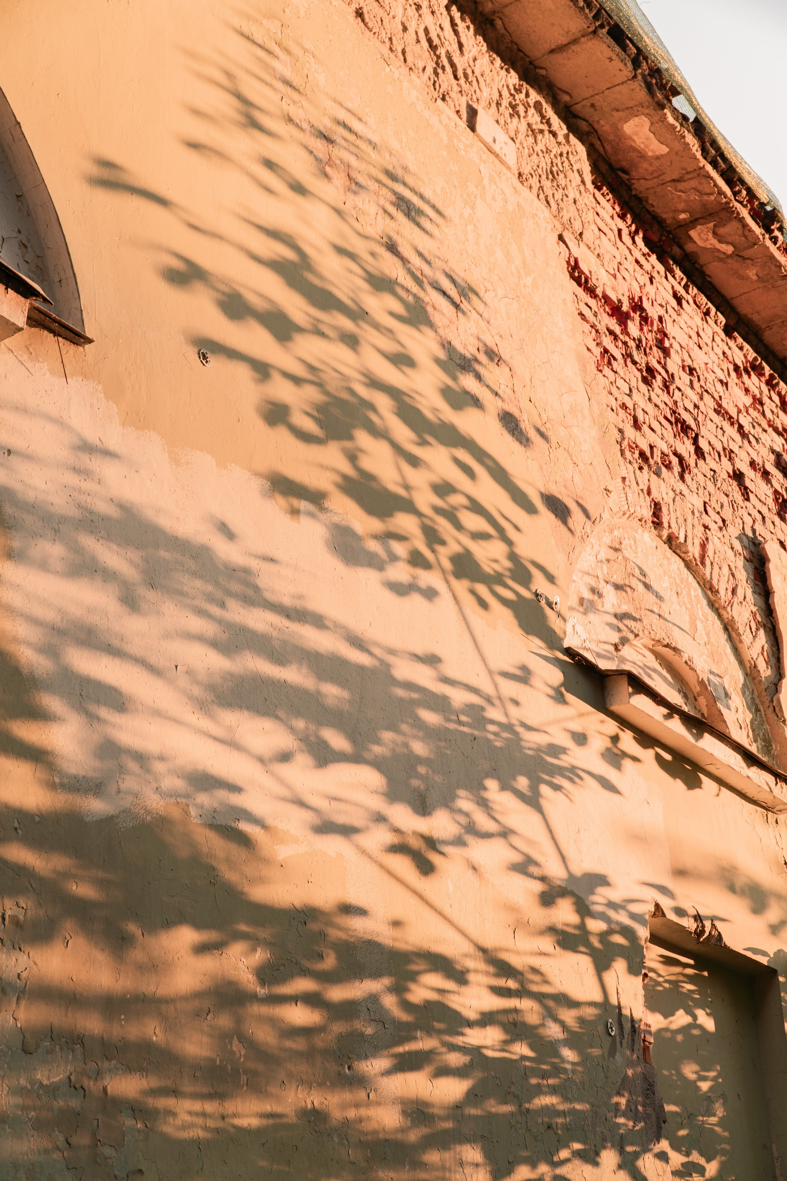 Ещё. Фотограф в Санкт-Петербурге Авдотья Благовещенская