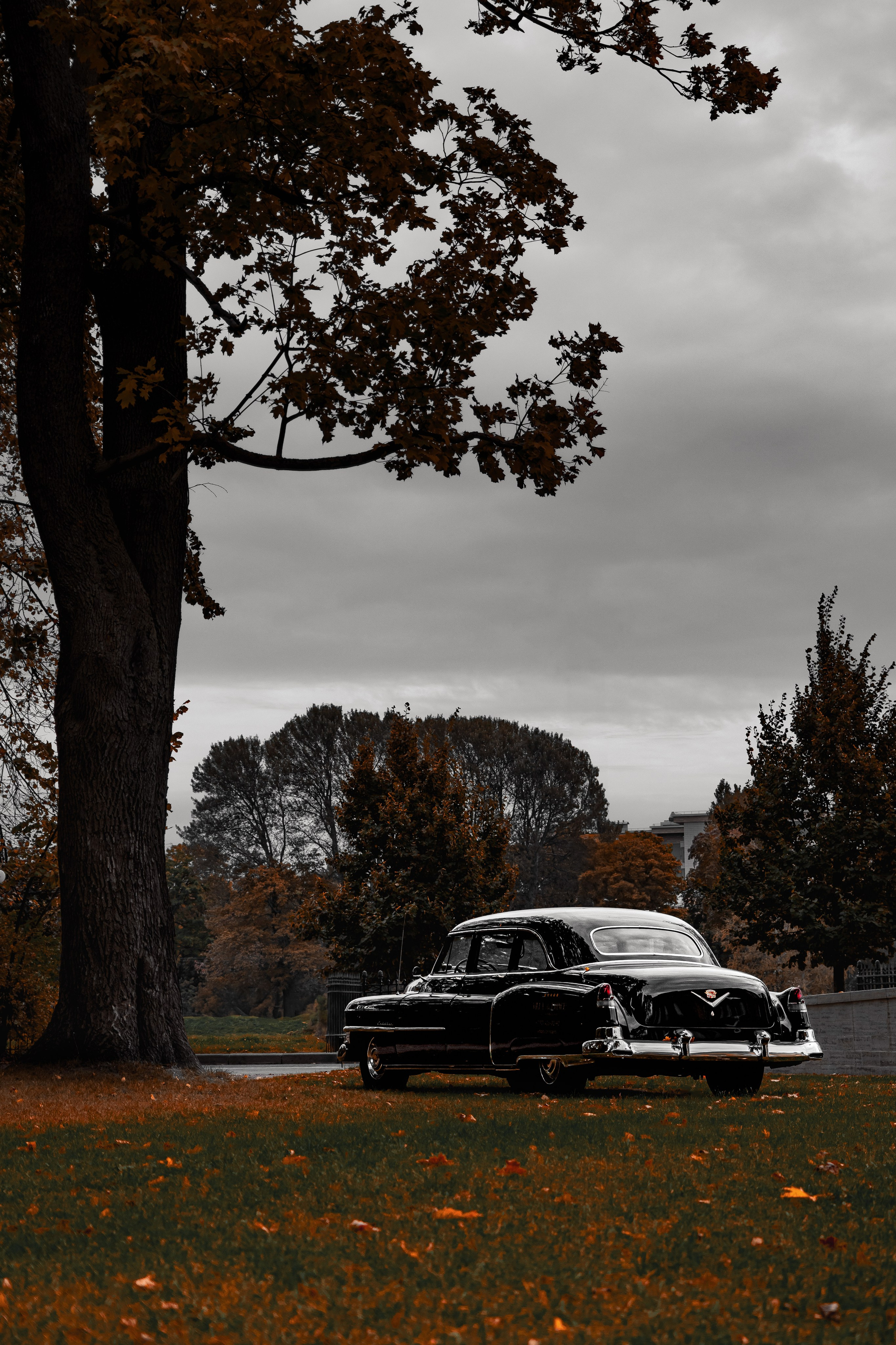 У виллы Принца Ольденбургского. Фотограф | Данил Шукан | Санкт-Петербург