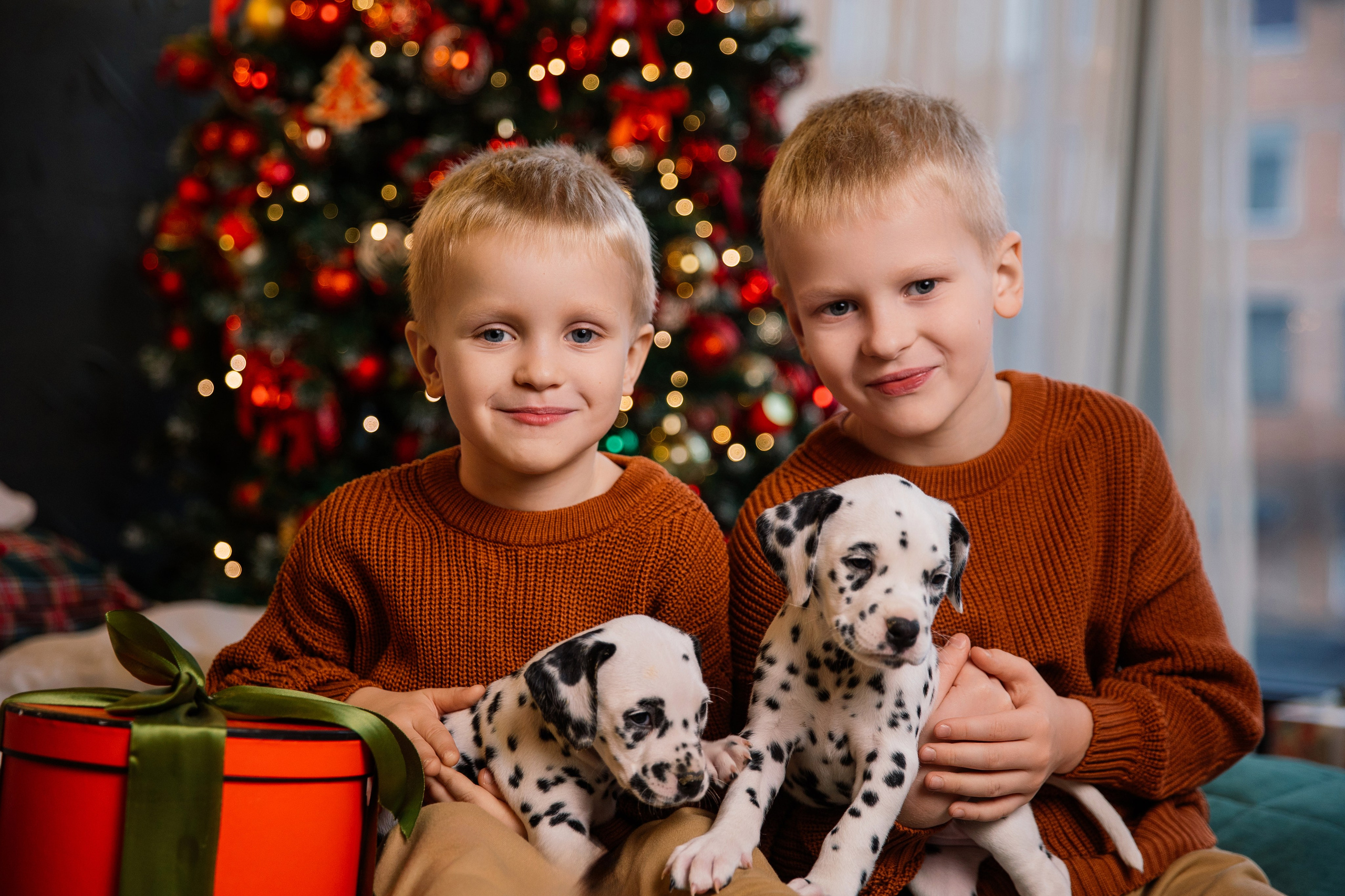 Саша и Рома. Семейный фотограф Толстикова Кристина