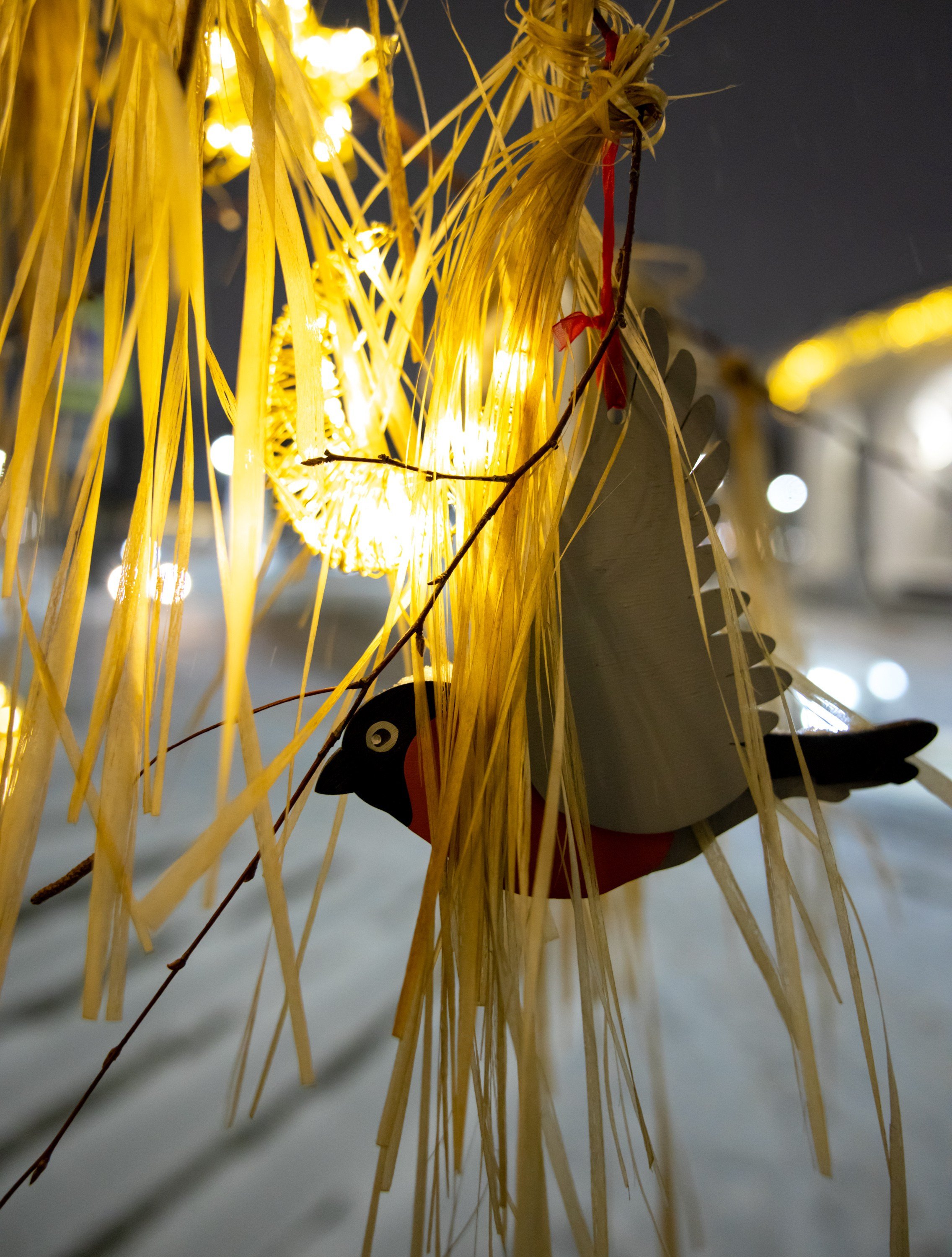 Новогодняя фотосессия в Костроме. Портретный фотограф в Костроме Наталия Клевинскас