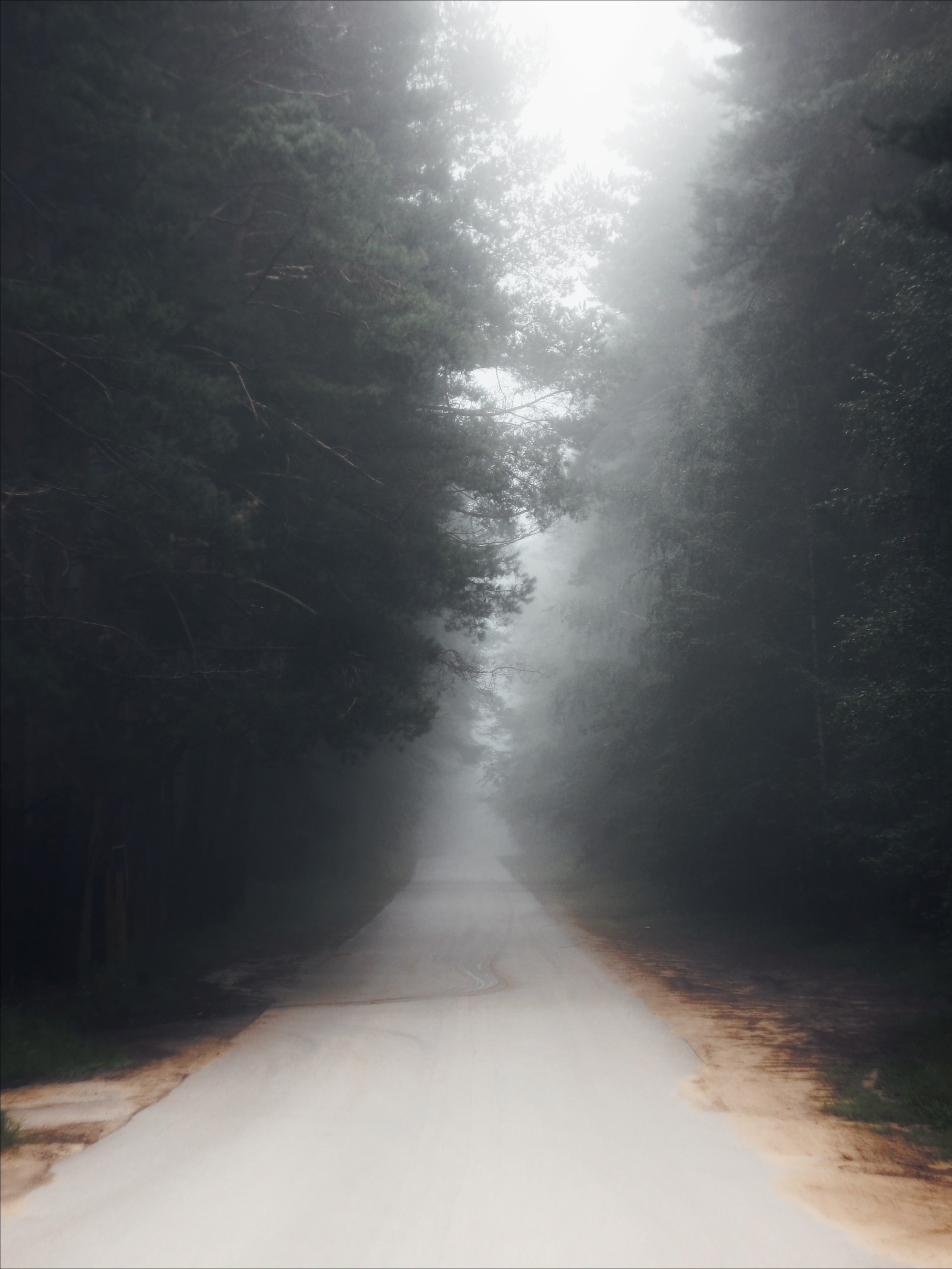 Меланхолия августа. С любовью, фотохудожник